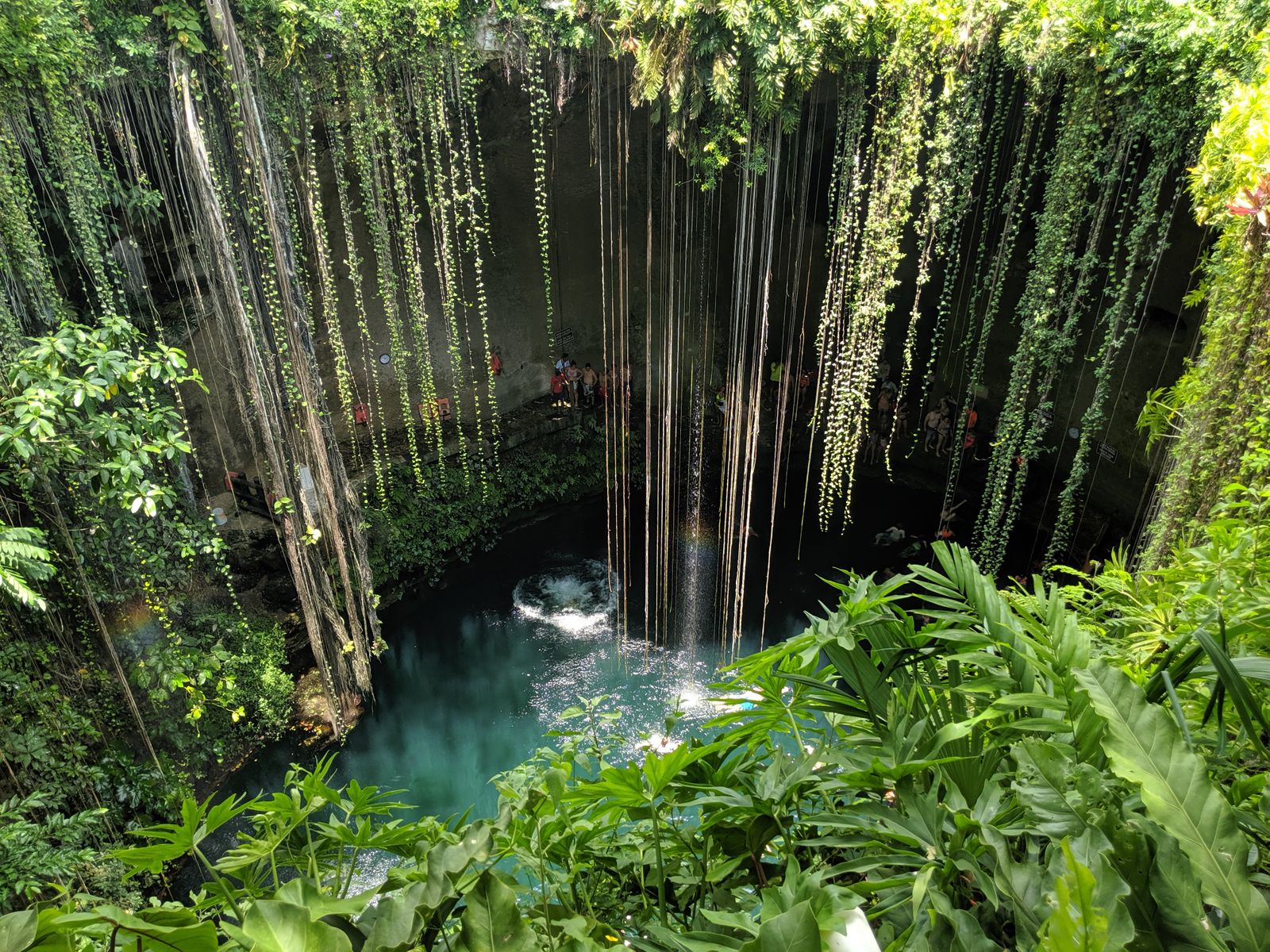 Vacanza in Messico: 20 idee su dove andare e cosa vedere nel 2026 5 Il cenote Ik Kil nello Yucatán