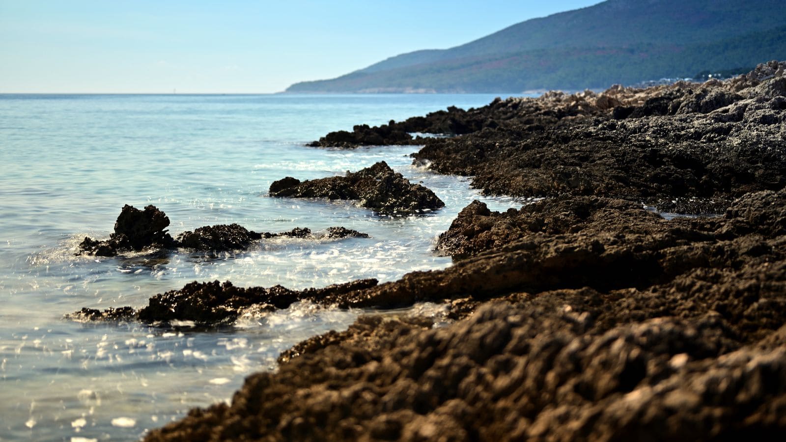 Meteo in Croazia: quando andare al mare (temperature mese per mese) nel 2026 5 Quando ci si può davvero bagnare e temperatura del mare