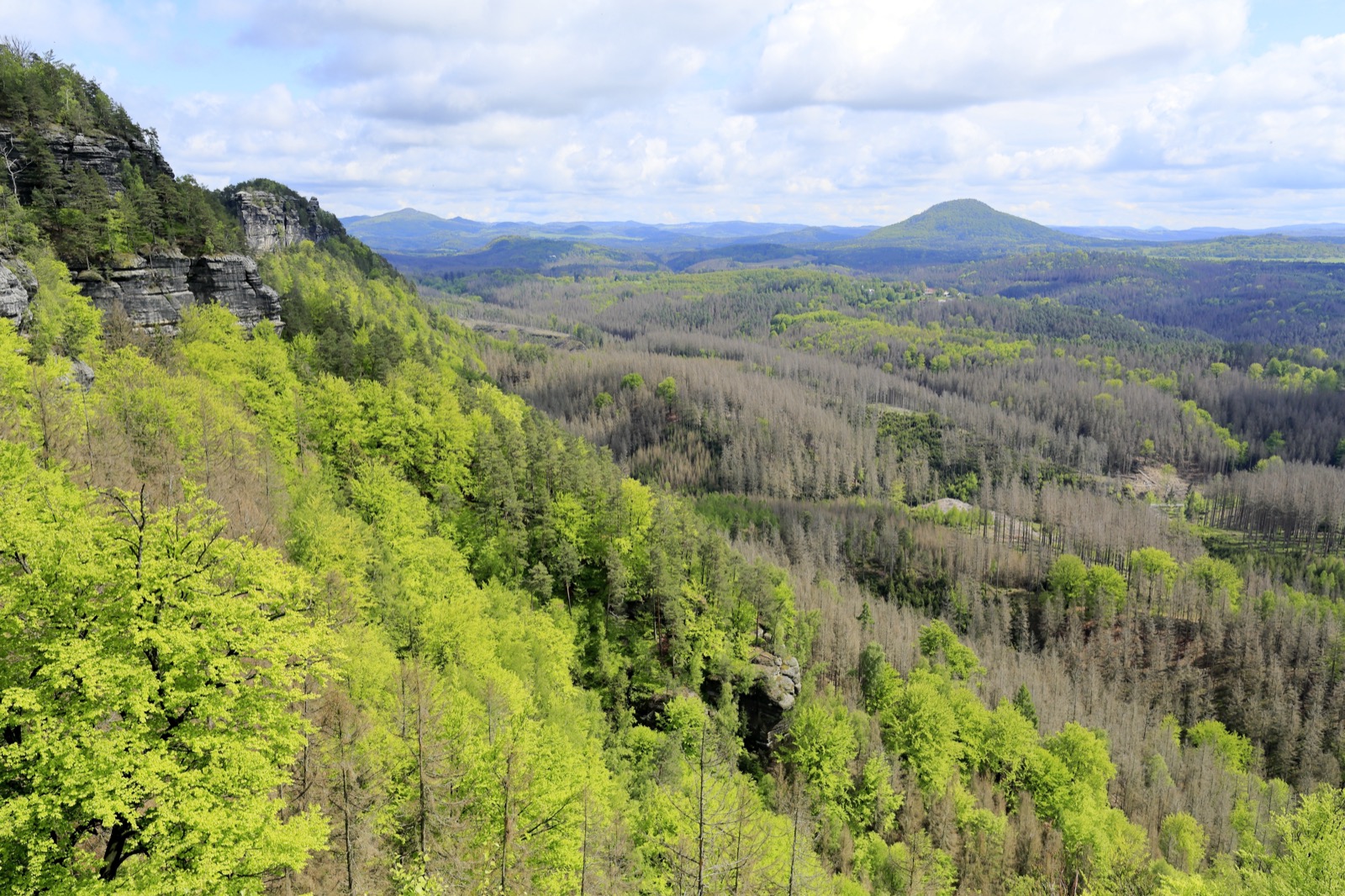 Böhmische Schweiz: 8 Sehenswürdigkeiten & Reiseführer 2026 9 Blick auf den Rosenberg, den höchsten Berg der Böhmischen Schweiz