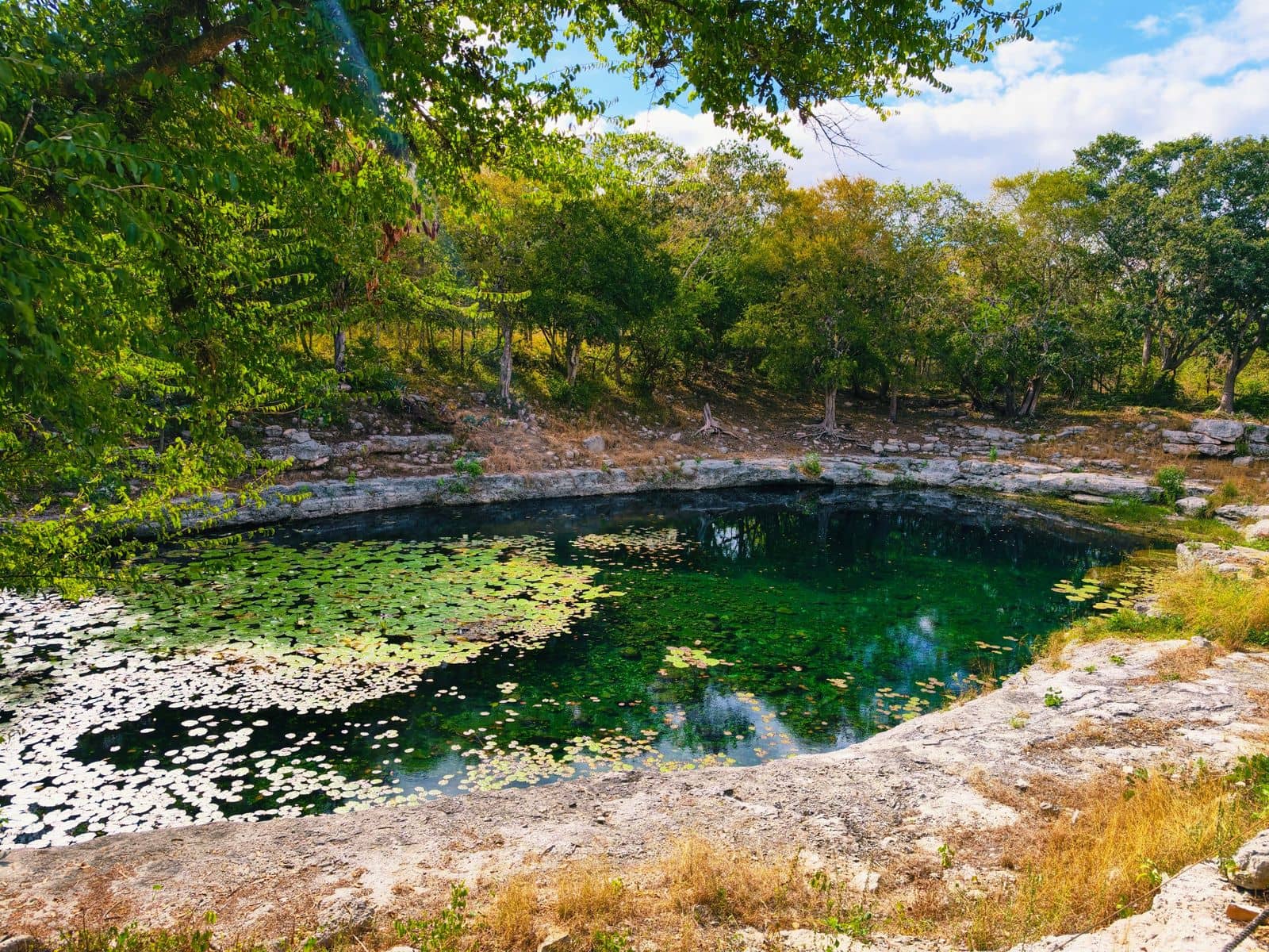 Cenote în Yucatán, Mexic: cele 12 cele mai frumoase + reguli și sfaturi 10 Cenotele din Cuzamá