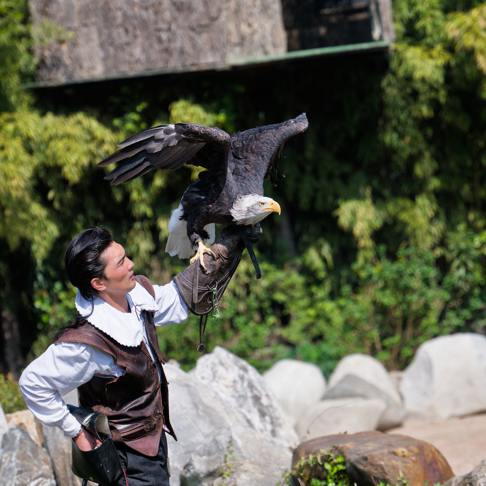 Orlí park Rocher des Aigles – ukázka dravců