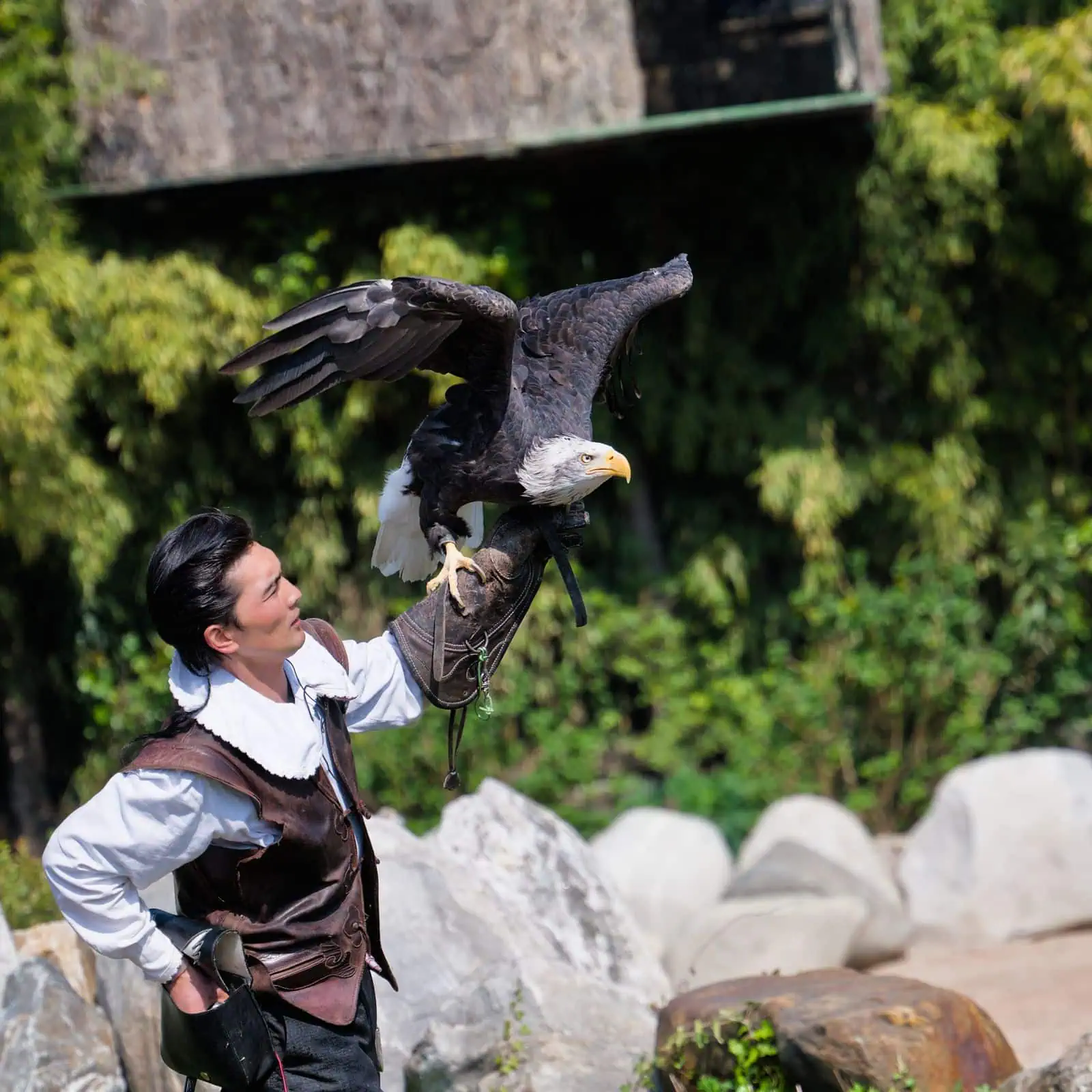 Rocamadour, Frankreich: 11 Tipps + Gouffre de Padirac im Jahr 2026 10 Adlerpark Rocher des Aigles – Greifvogel-Vorführung