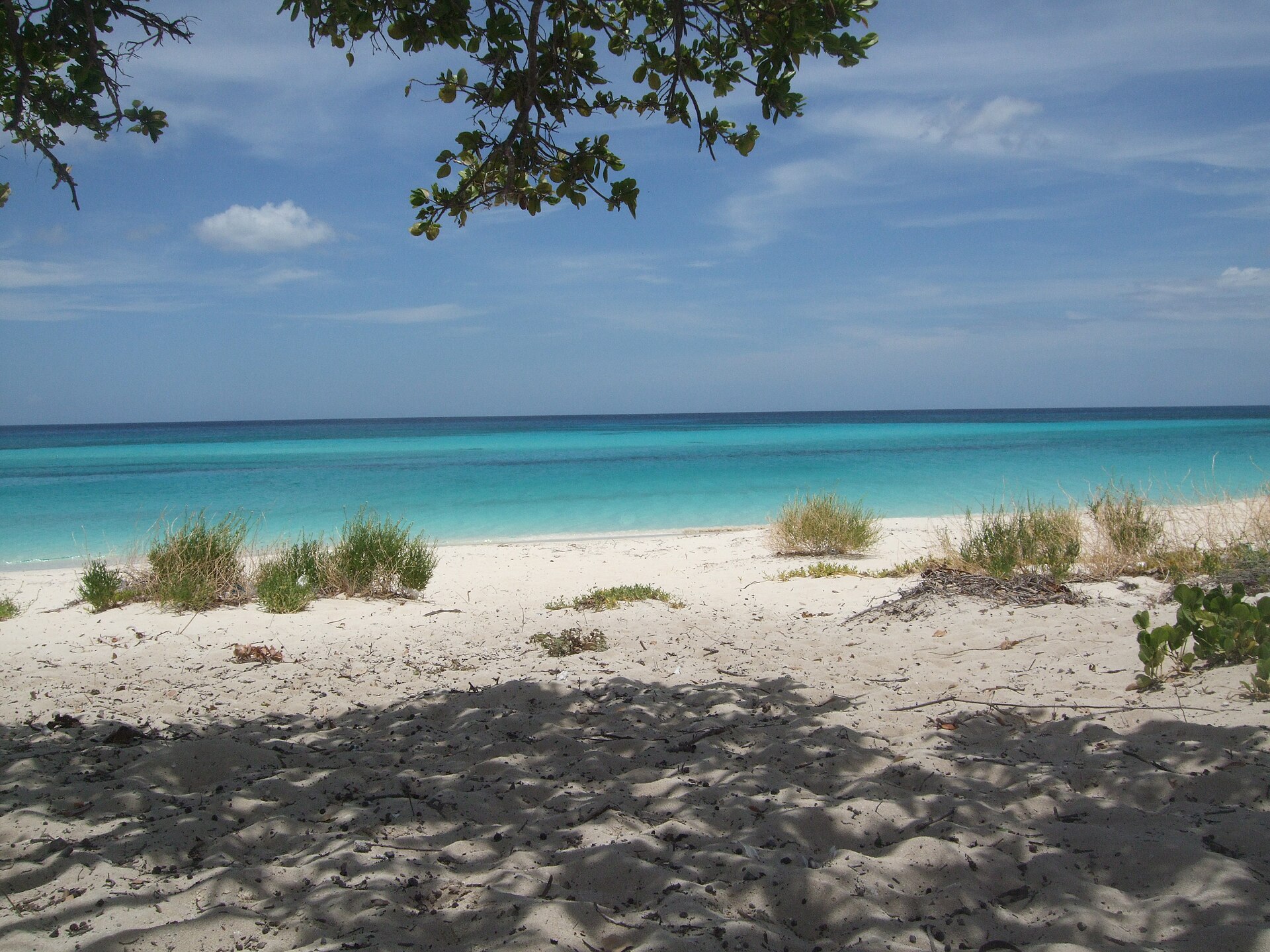 República Dominicana: férias, 21 dicas e quando ir 16 Bahía de las Águilas, a praia mais remota do país