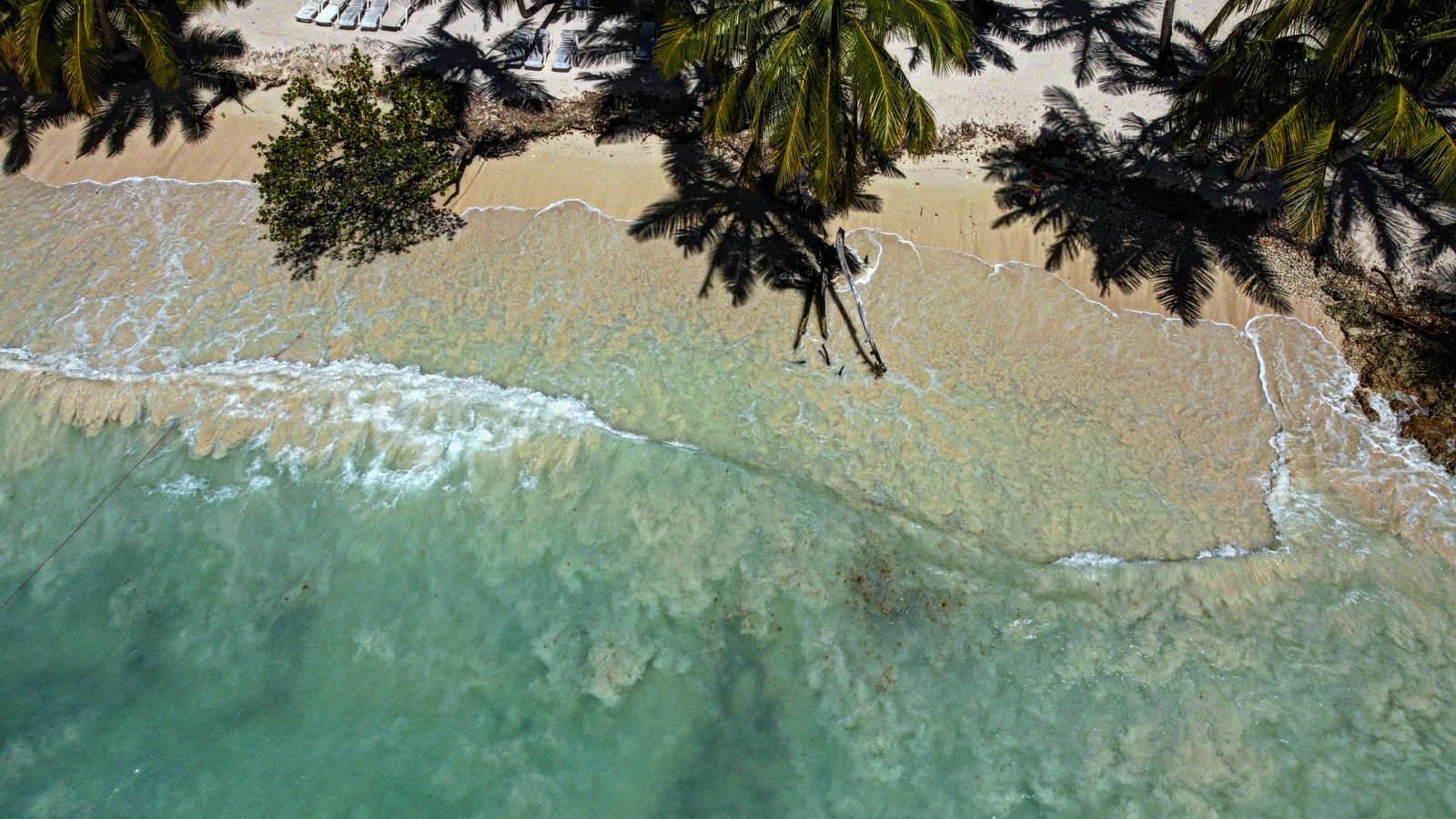 República Dominicana: férias, 21 dicas e quando ir 6 Playa Macao, praia pública e selvagem