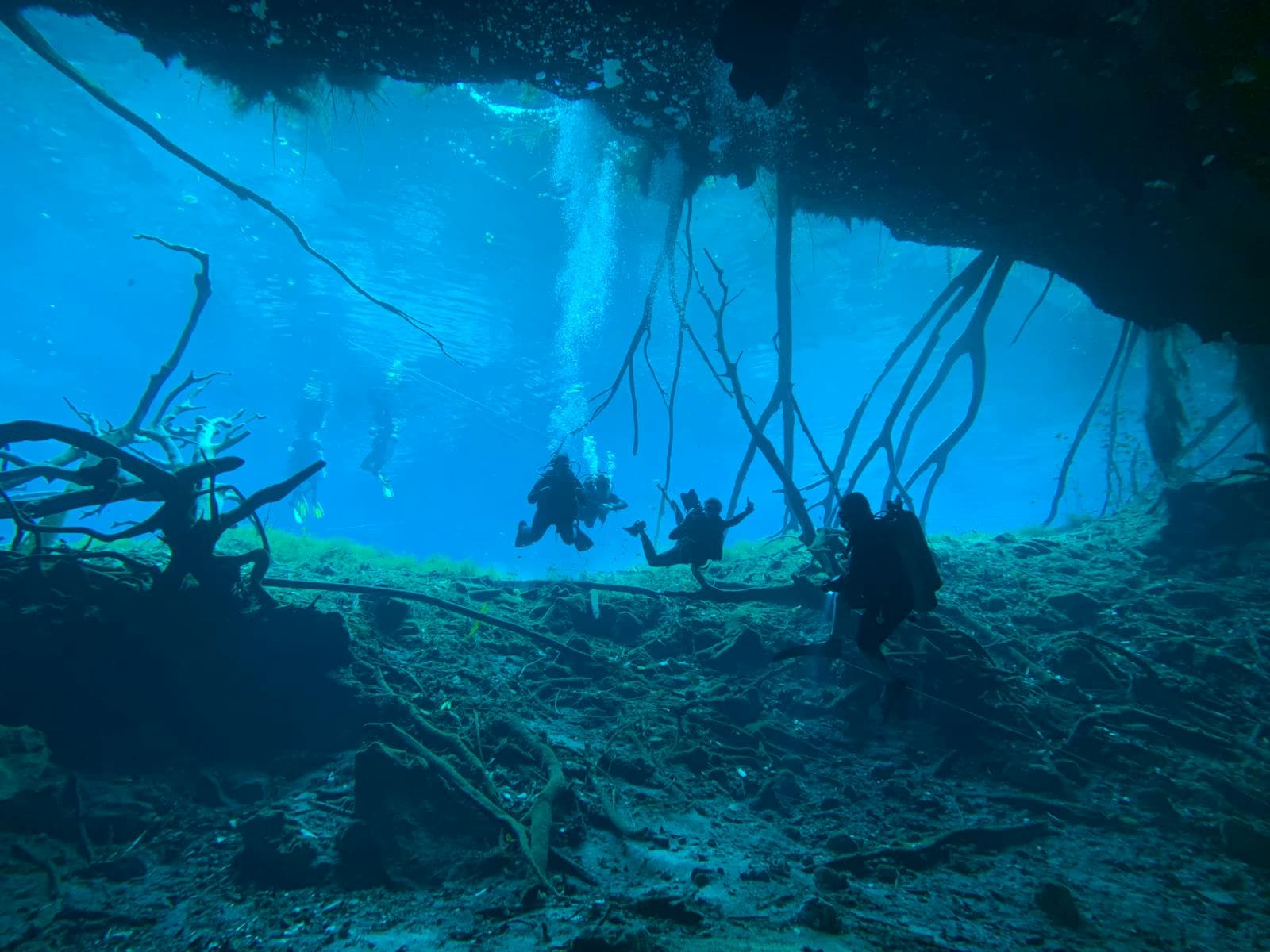 Cenote în Yucatán, Mexic: cele 12 cele mai frumoase + reguli și sfaturi 4 Scufundare în cenote Dos Ojos