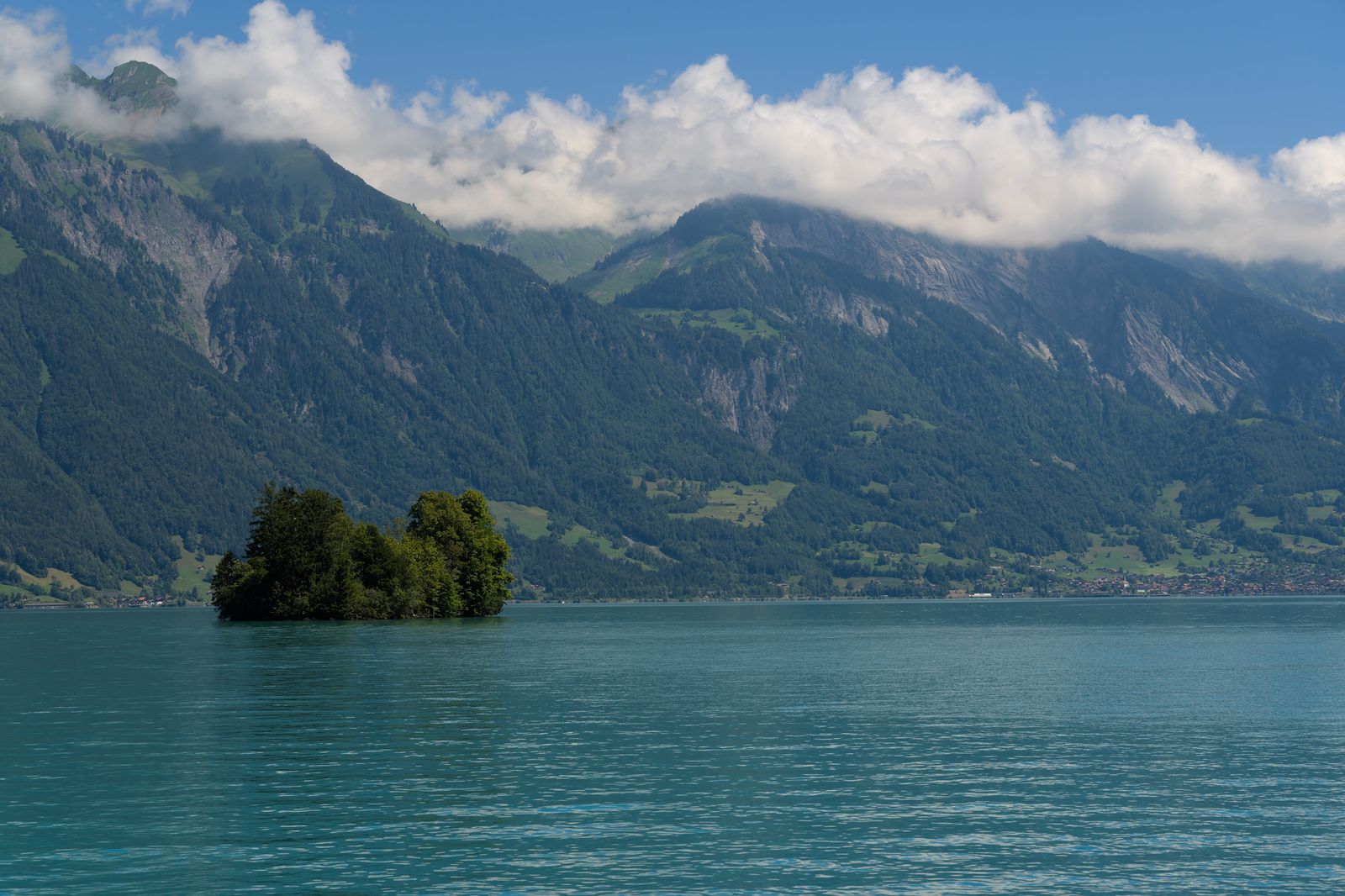 Interlaken (Suiza) y Jungfraujoch: 14 cosas que ver y hacer 2026 15 El pueblo maderero de Brienz y el tren cremallera de vapor