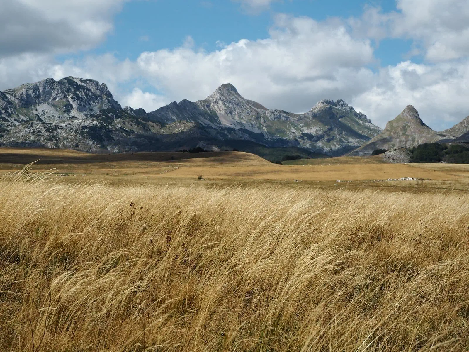 Durmitor National Park & Žabljak: 12 Hikes, Crno Jezero and Bobotov Kuk 17 Skiing and summer views on Savin Kuk