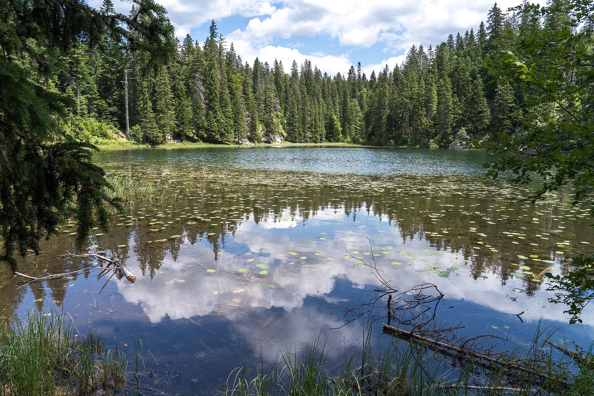 NP Durmitor a Žabljak: 12 tipů na túry, Crno jezero a Bobotov kuk 12 Zminje jezero ukryté v lesích Durmitoru