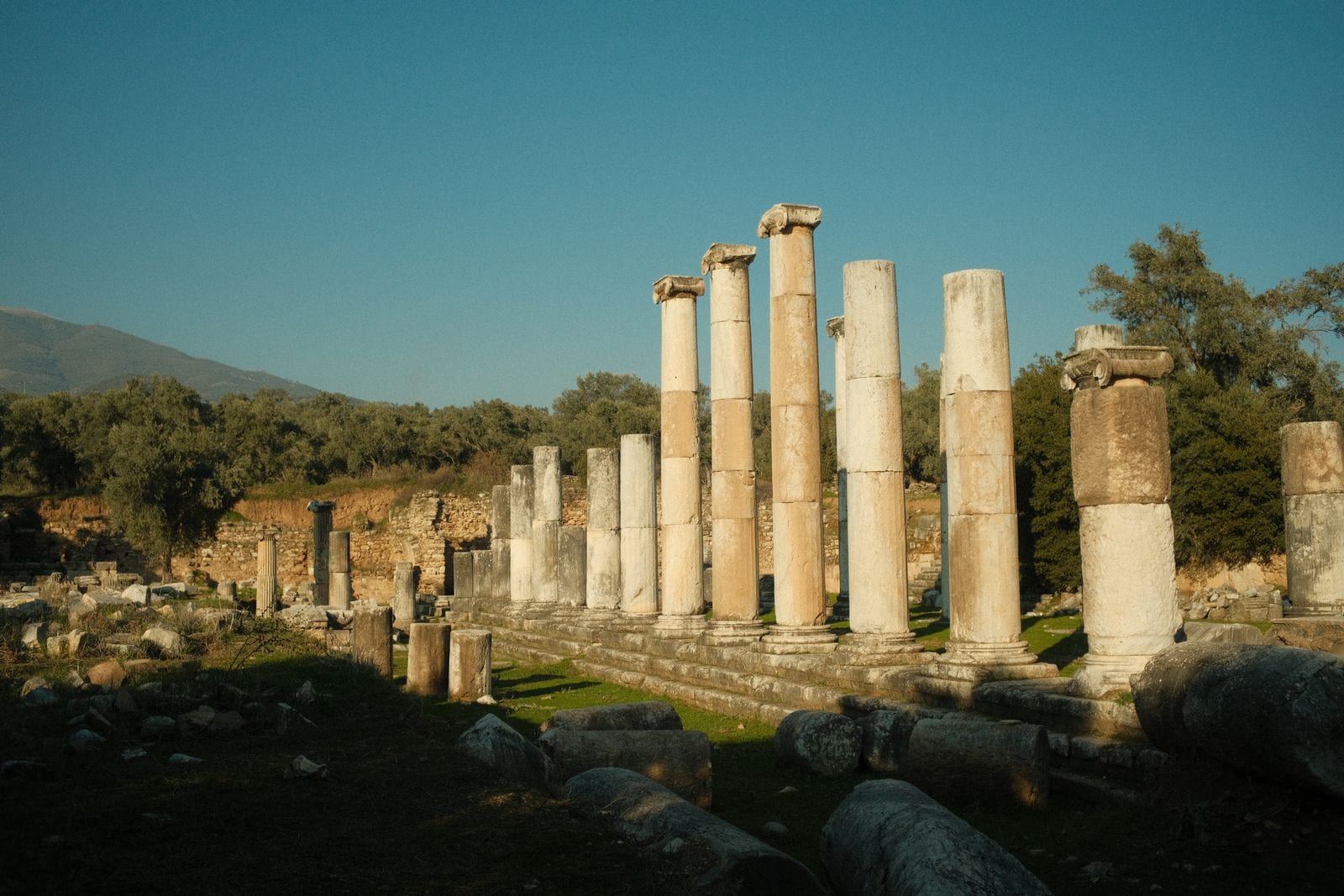 Efes (Ephesus): 13 sfaturi pentru orașul antic și împrejurimi în 2026 13 Priene, Miletos și Didyma