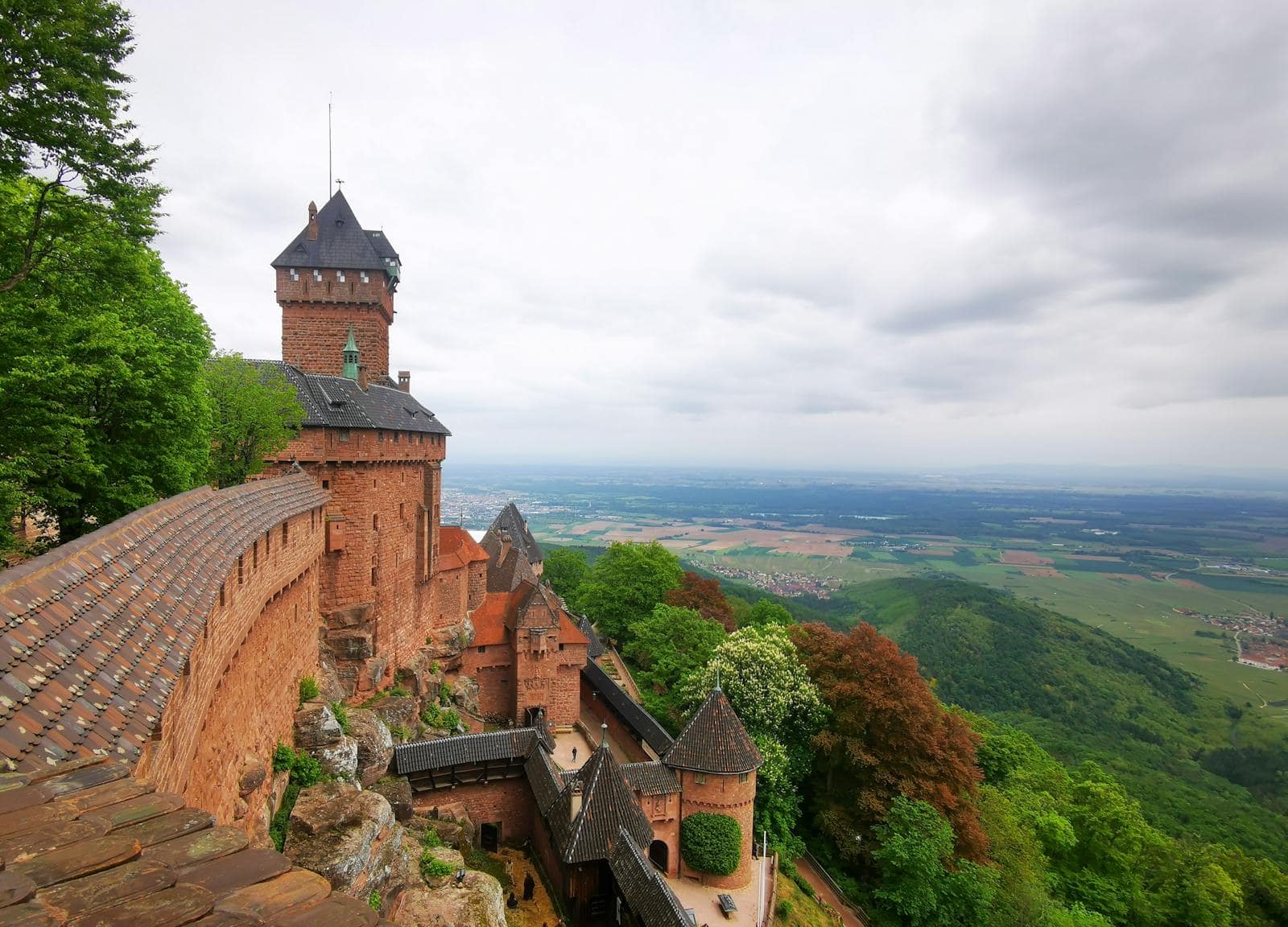 Ruta Vinului din Alsacia: cele mai frumoase 12 sate în 2026 12 Castelul Haut-Koenigsbourg pe deal deasupra Alsaciei