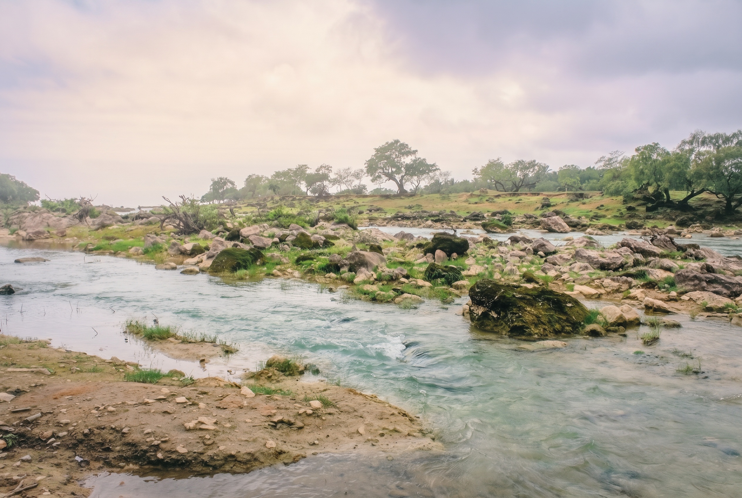 Salalah, Omán: 15 lugares que ver + mejores resorts de playa 2026 16 Manantial de Ayn Razat en los jardines