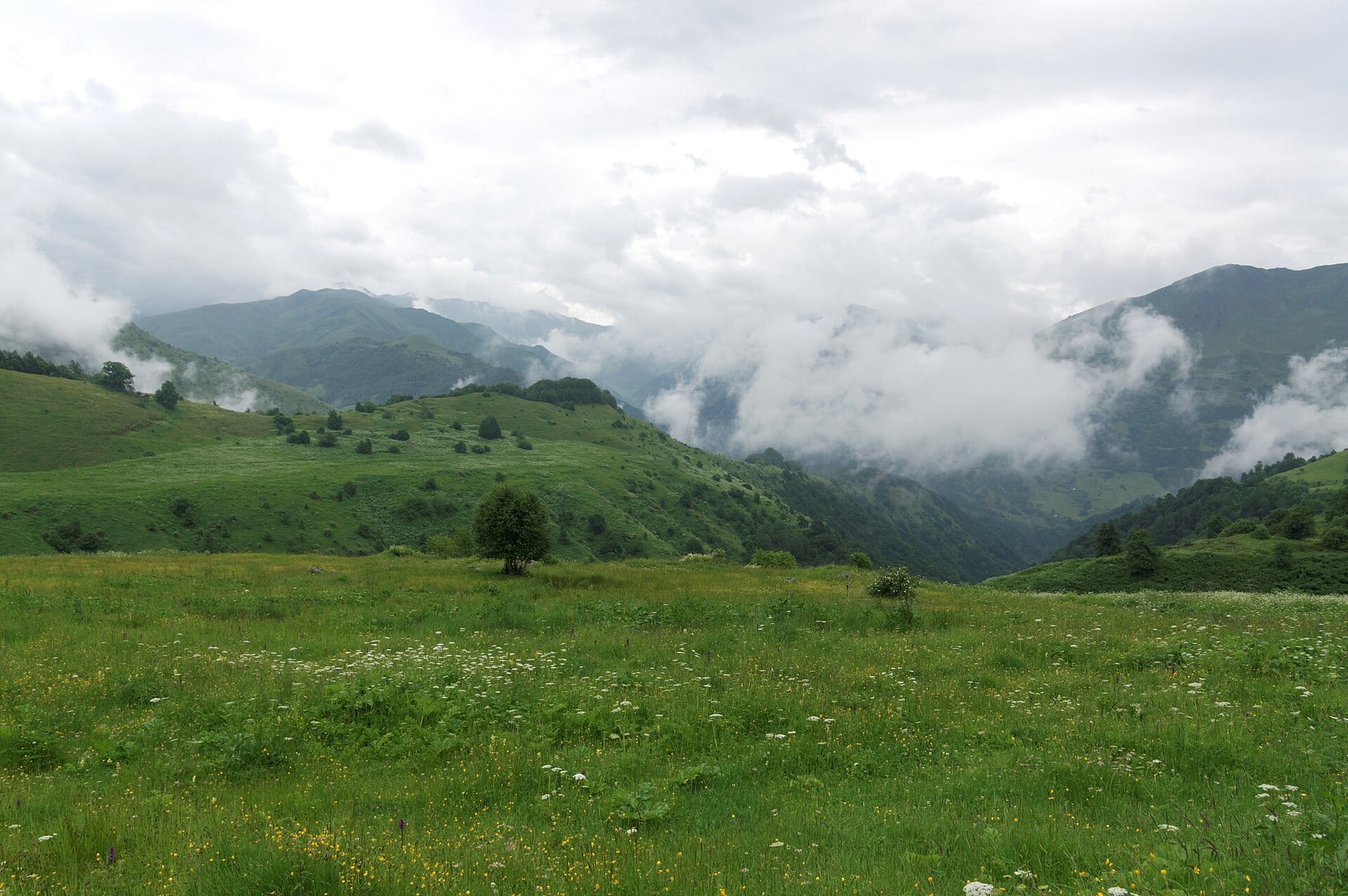 Quand partir en Géorgie ? Météo et meilleure période mois par mois en 2026 19 Quand la Géorgie est la moins chère et quand tu paieras plus