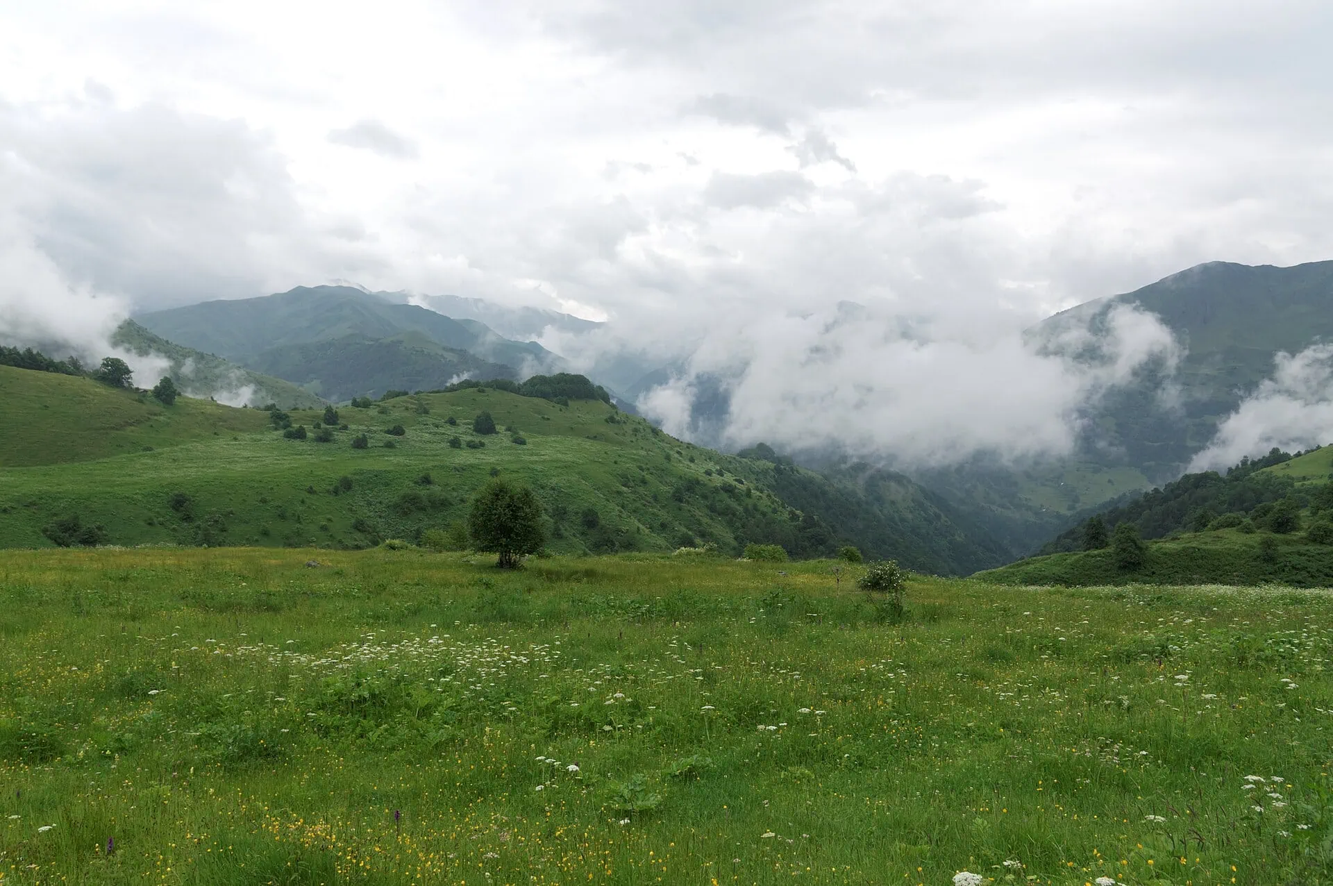 Wann nach Georgien reisen? Wetter und beste Reisezeit Monat für Monat 2026 19 Wann ist es in Georgien am günstigsten und wann zahlst du drauf