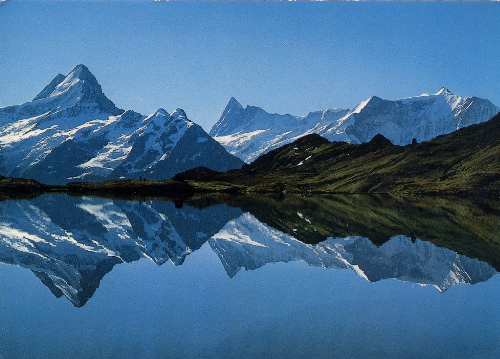 Grindelwald (Suiza): 14 cosas que ver y hacer (First, Bachalpsee y Jungfraujoch) 2026 8 Lago Bachalpsee con el Schreckhorn reflejado