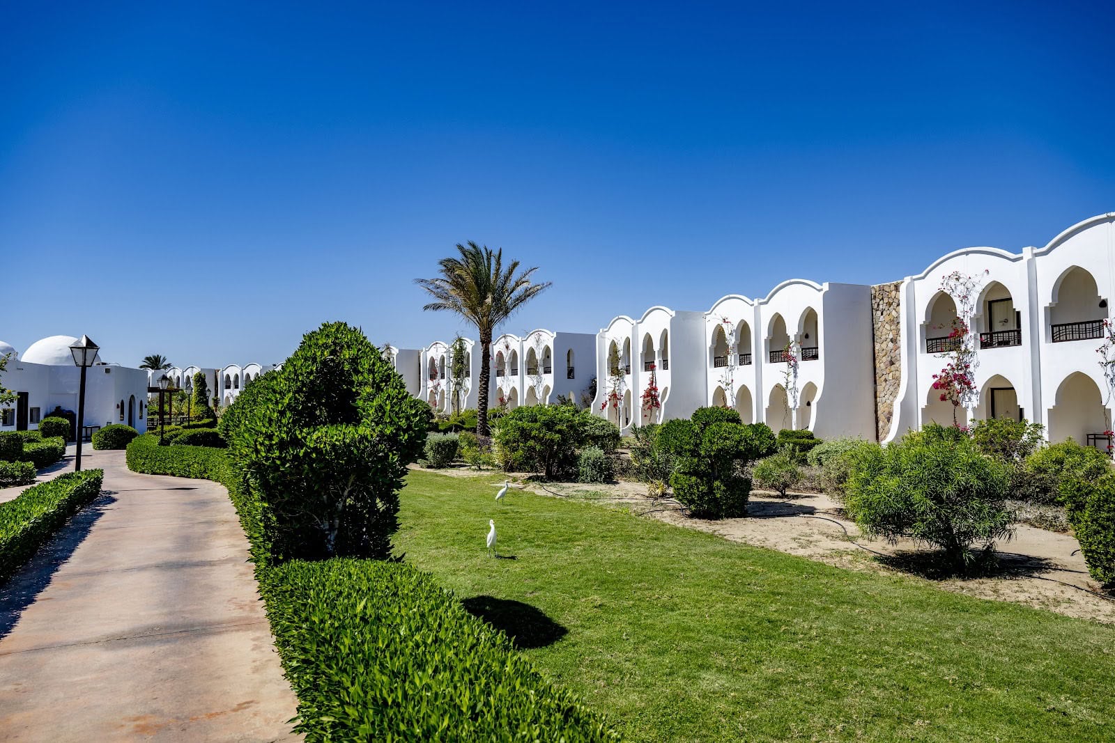 Najlepsze hotele w Marsa Alam: 8 propozycji według typu wakacji 1 Hotel Gorgonia Beach Resort w Marsa Alam
