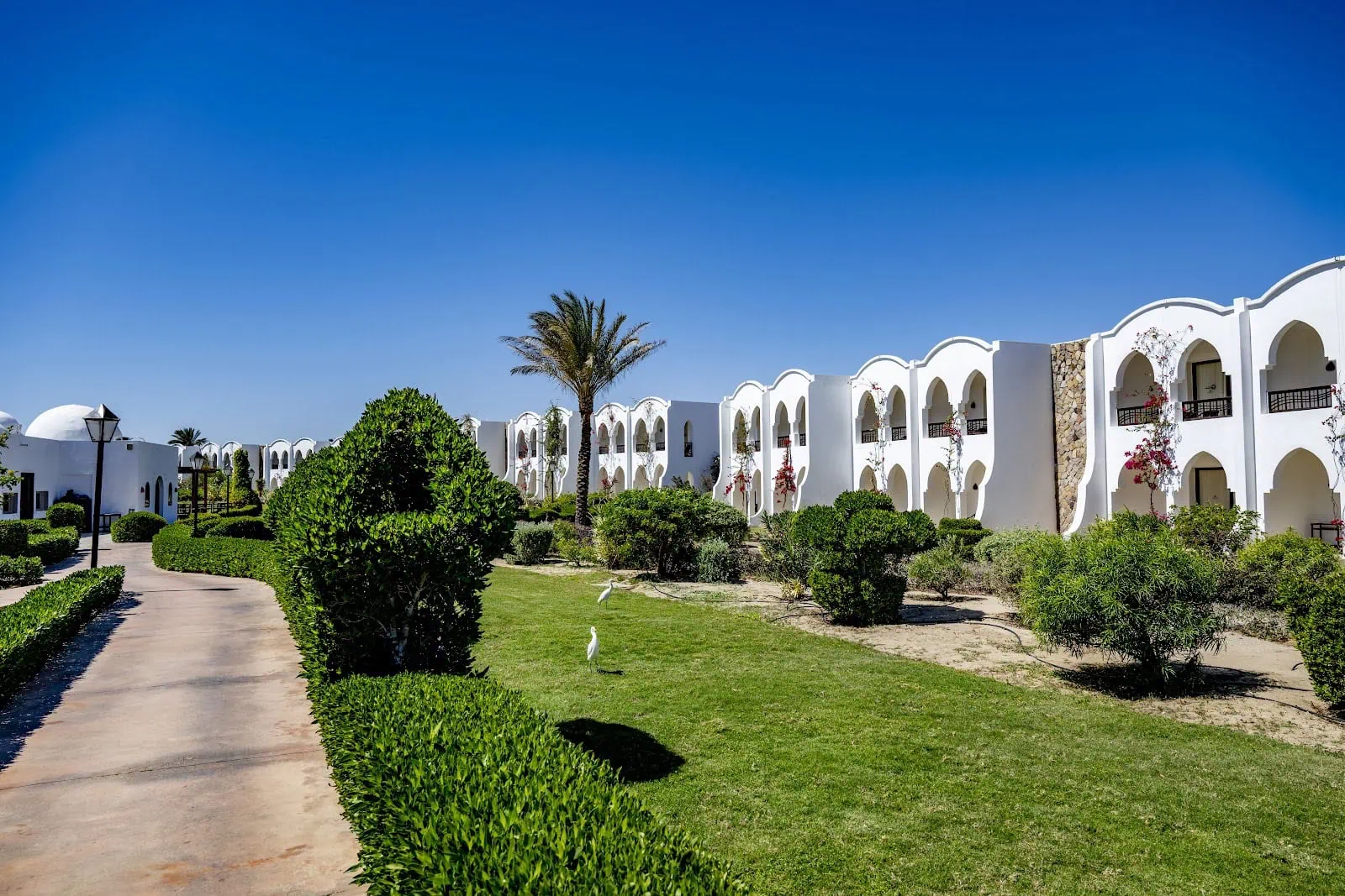 Nejlepší hotely v Marsa Alam: 8 tipů podle typu dovolené 1 Hotel Gorgonia Beach Resort v Marsa Alam