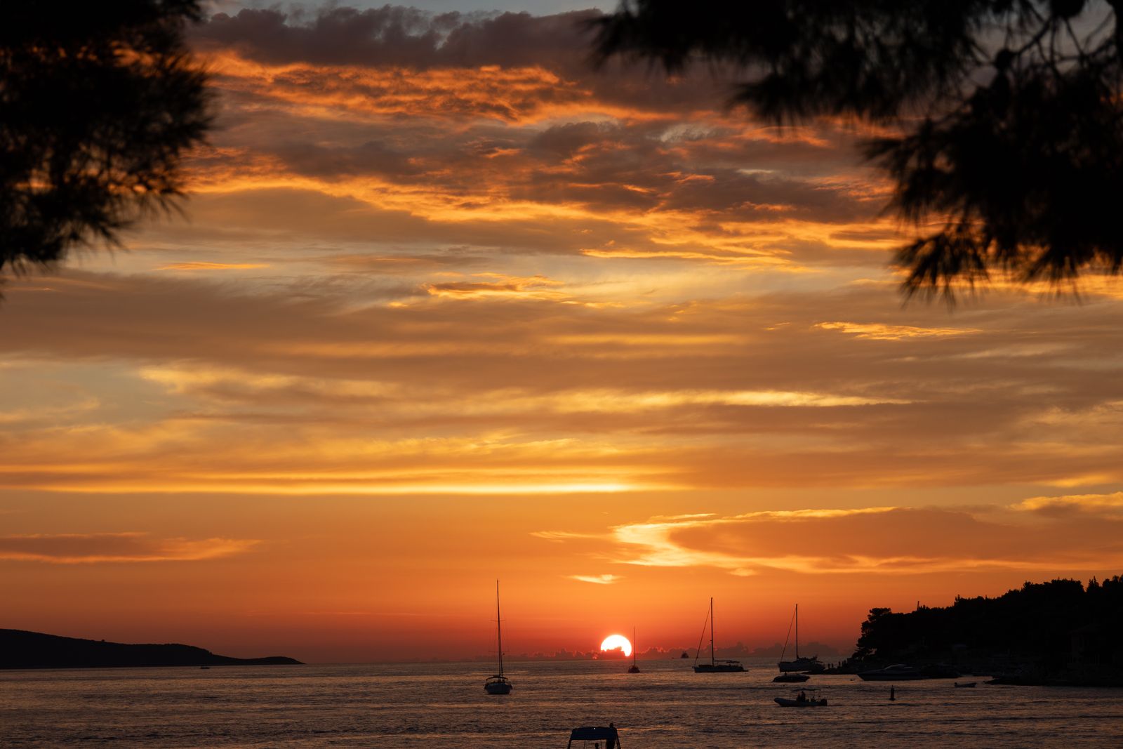 Eiland Hvar, Kroatië: 12 tips voor wat te zien en doen in 2026 16 Wijnproeverij op de steile zuidelijke hellingen