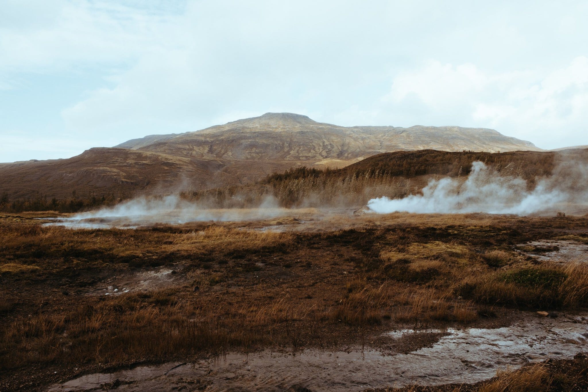 Roadtrip în Islanda: itinerariu de 14 zile + cazare 5 aburul se ridică din gheizerele din zona Geysir din Islanda