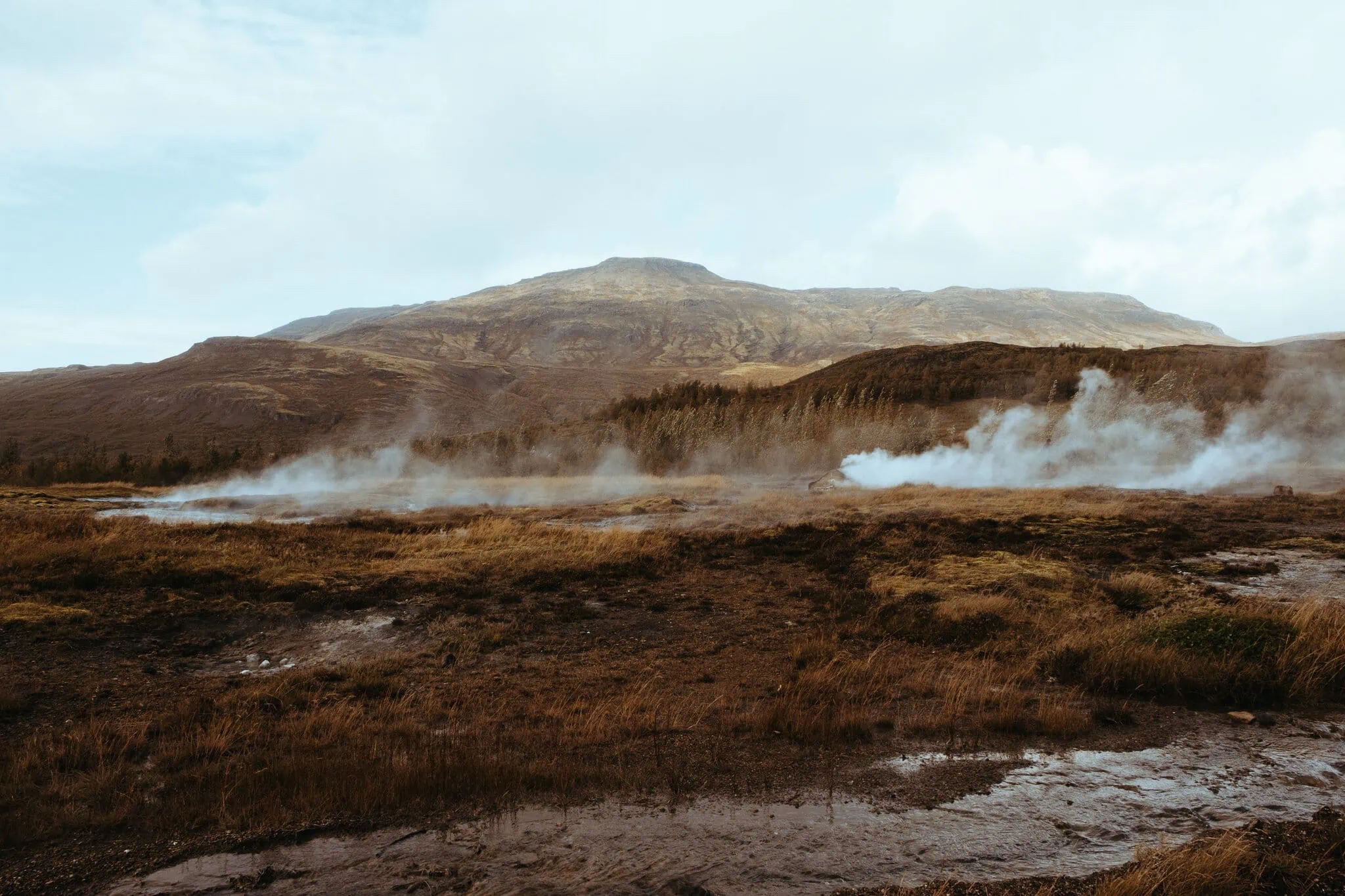 Roadtrip po Islandu: 14denní itinerář + tipy na ubytování 4 pára stoupá z gejzírů v oblasti Geysir na Islandu