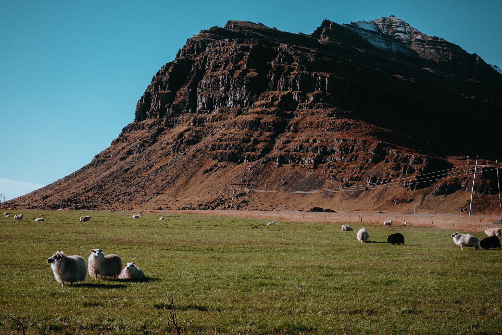 Jökulsárlón și ghețarii din sud-estul Islandei: 12 lucruri de văzut și făcut 17 oi pășunând pe o pajiște sub muntele Eystrahorn din Islanda