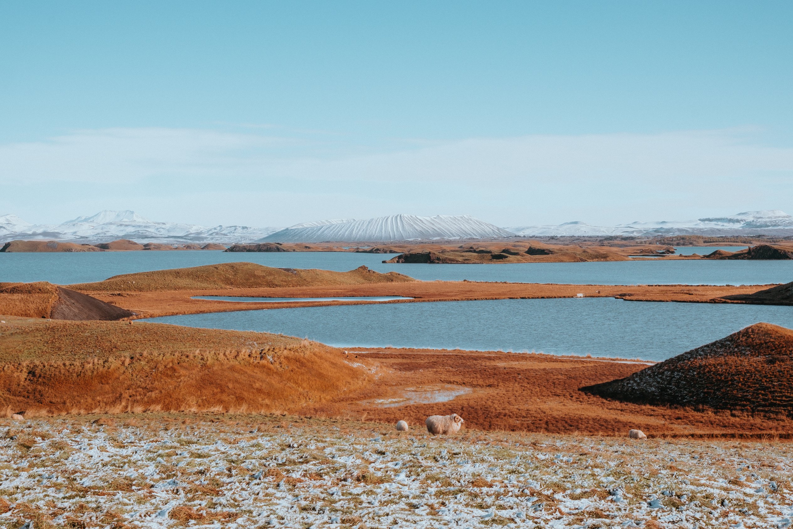 lac Mývatn avec ses pseudo-cratères rouille et sa montagne enneigée