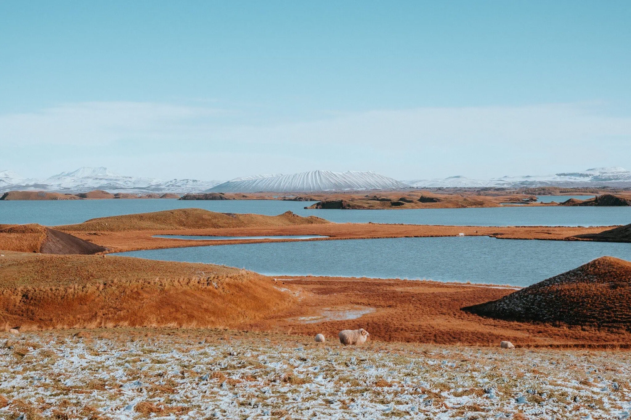 Volcans en Islande : Reykjanes actif, cratères et où voir la lave en 2026 13 lac Mývatn avec ses pseudo-cratères rouille et sa montagne enneigée