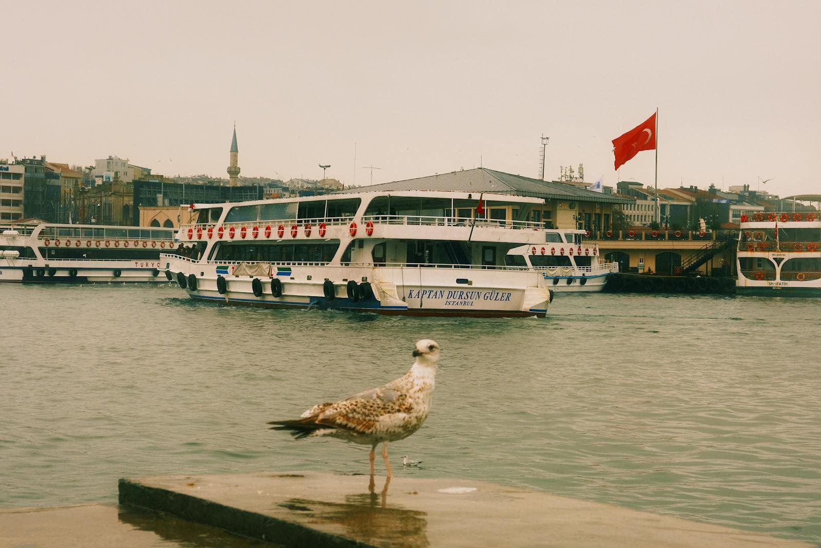 Istanbul Turcia: 15 lucruri de văzut în orașul de pe două continente în 2026 7 Marele Bazar (Kapalı Çarşı)