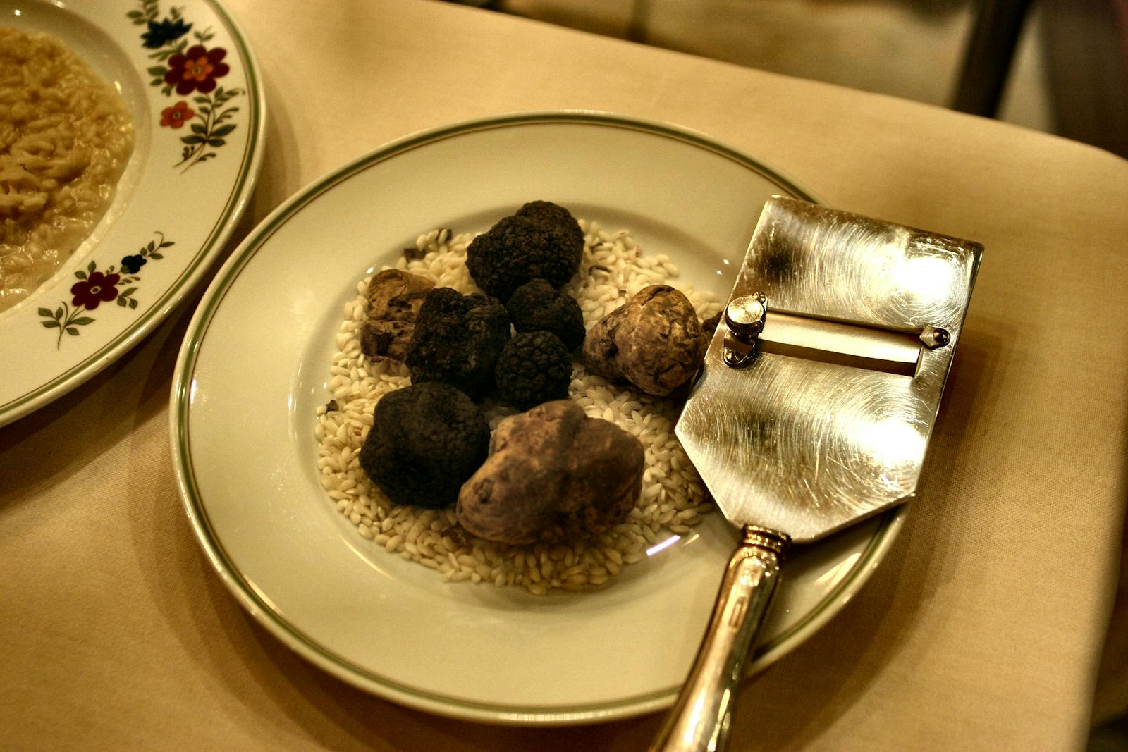 Istrische truffels en gastronomie