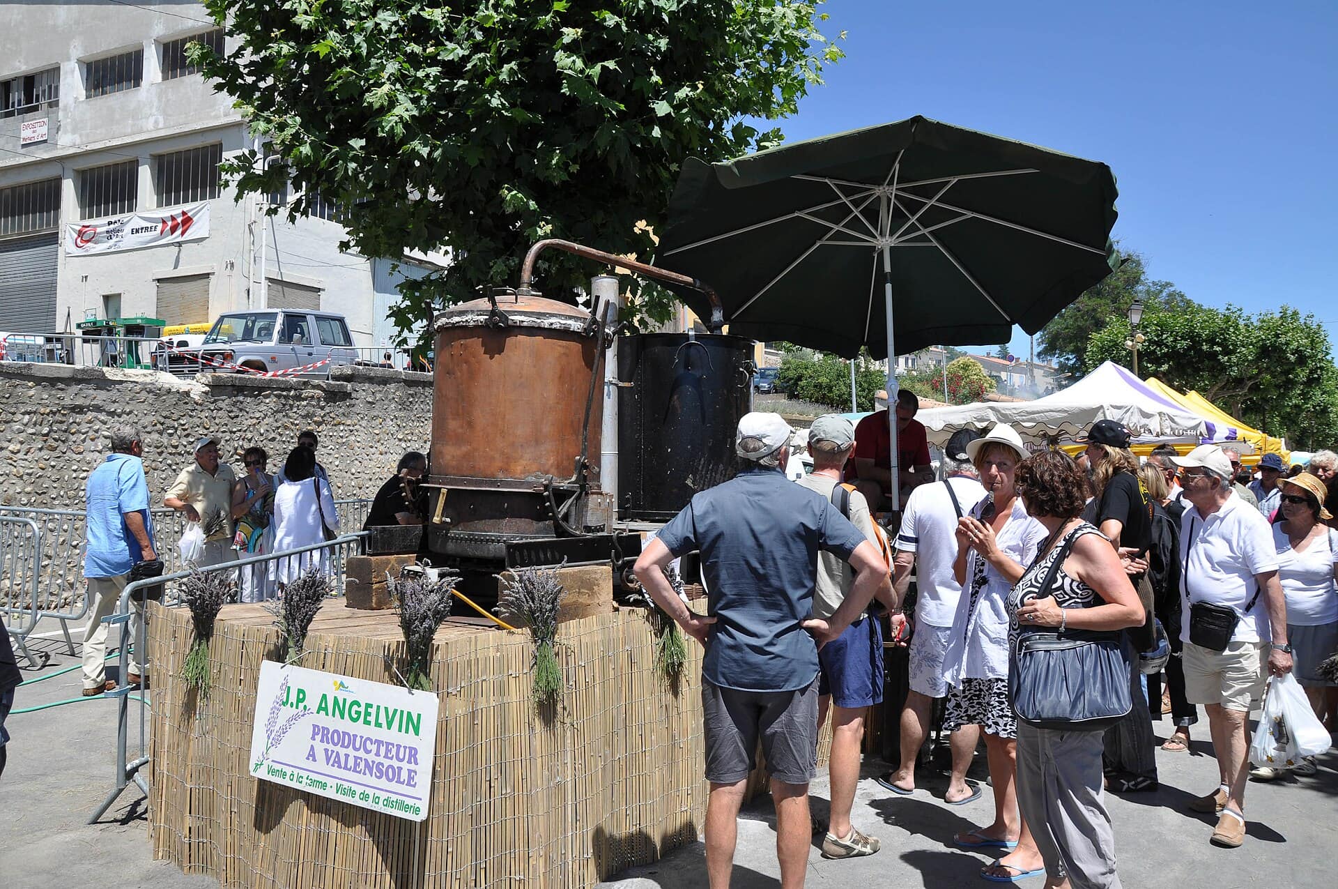 Campi di lavanda in Provenza: quando e dove andare nel 2026 53 Come muoversi nella zona in auto