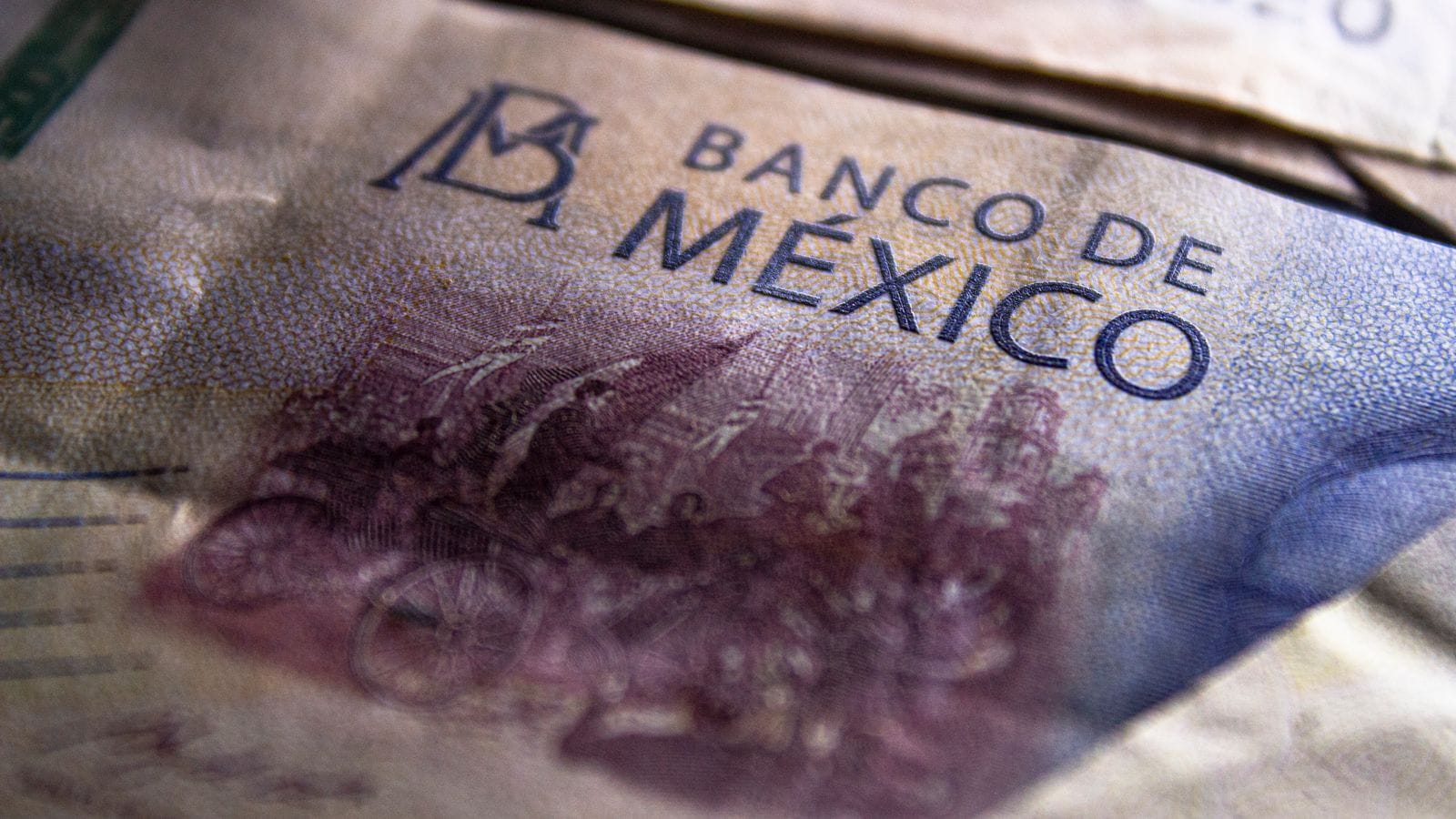 Il Messico è sicuro? Guida realistica per regioni nel 2026 4 Banconote di pesos messicani e contanti