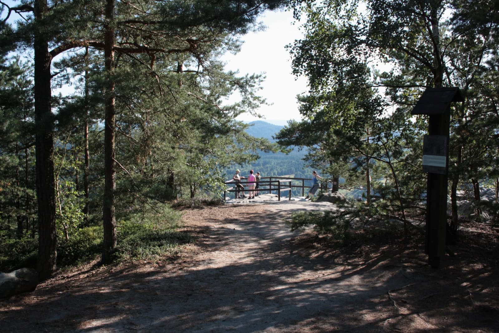 Jetřichovice-Aussichten: 4 Tipps für die ruhige Seite der Böhmischen Schweiz 2026 4 Waldweg zum Aussichtspunkt Wilhelminenwand bei Jetřichovice