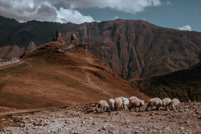 Georgien: Reiseführer, Tipps & Highlights 2026 5 Kazbegi in Georgien: 18 Tipps für die Region am Berg Kasbek 2026