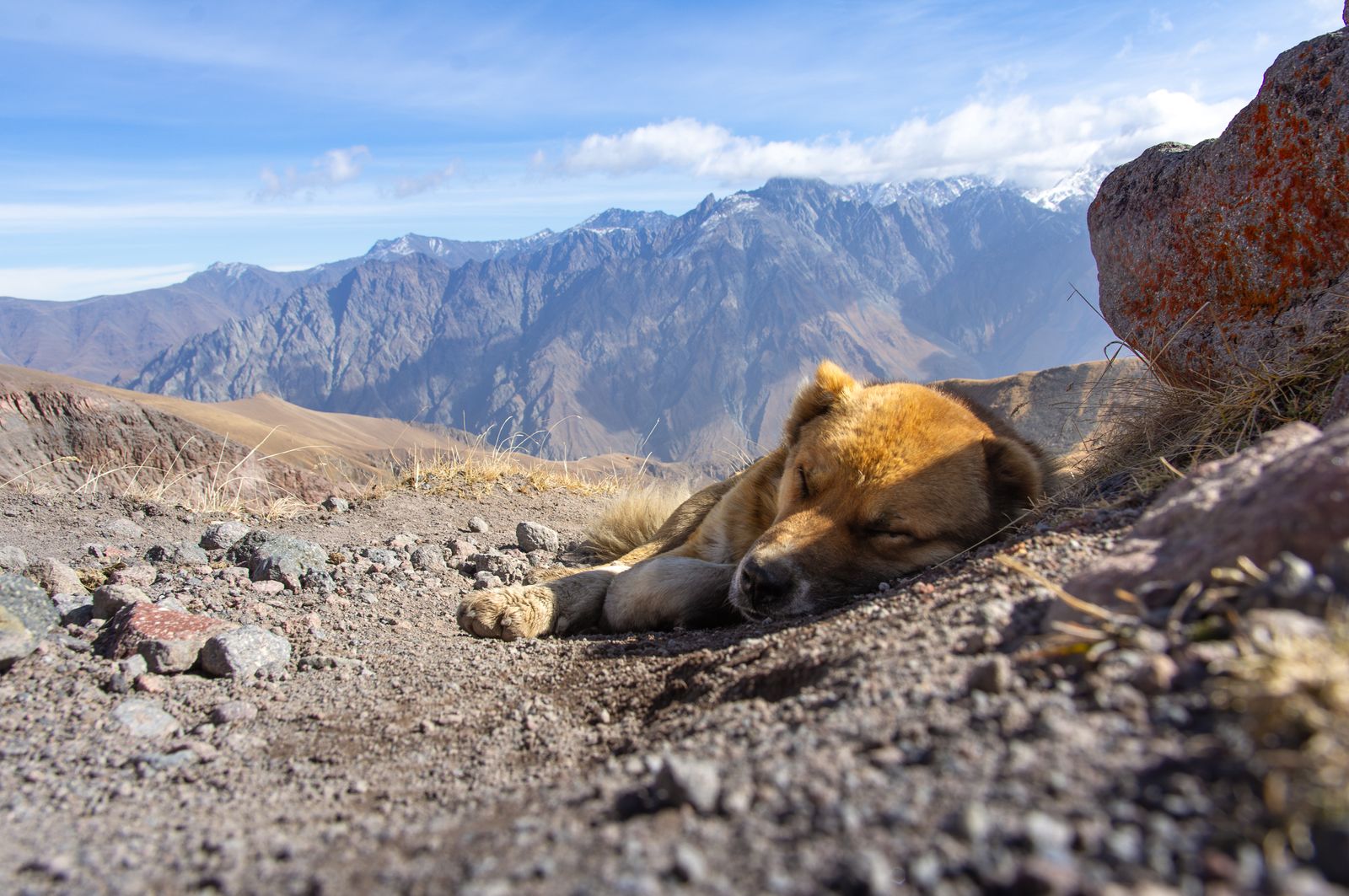 Kazbegi w Gruzji i cerkiew Gergeti: 18 pomysłów, co zobaczyć pod górą Kazbek w 2026 24 Jazda konna w chmury — stylowa romantyka