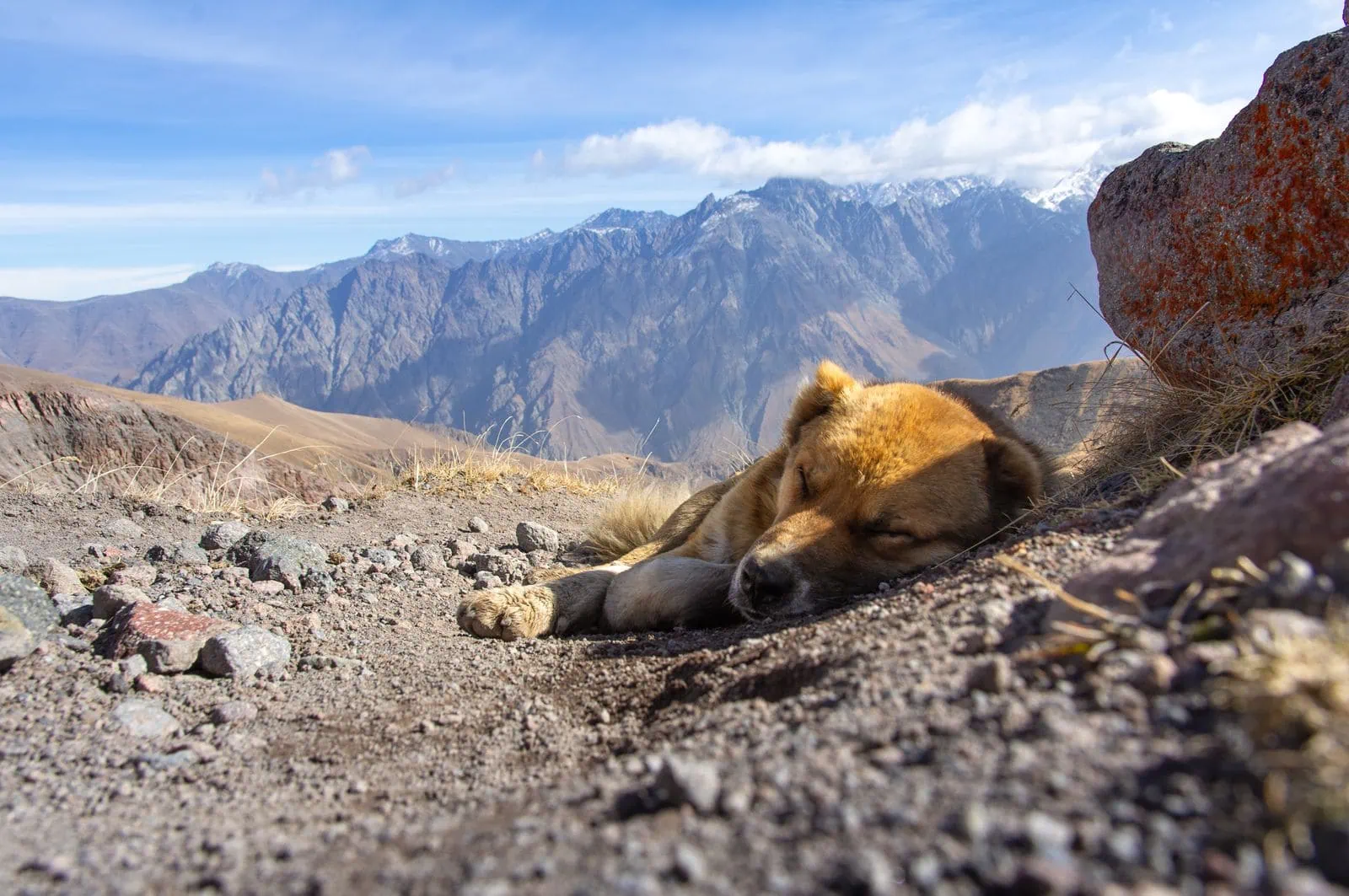 Kazbegi és a Gergeti templom: 18 tipp, mit nézz meg a Kazbek hegy alatt 2026-ban 24 Lovaglás a felhők közé – stílusos romantika