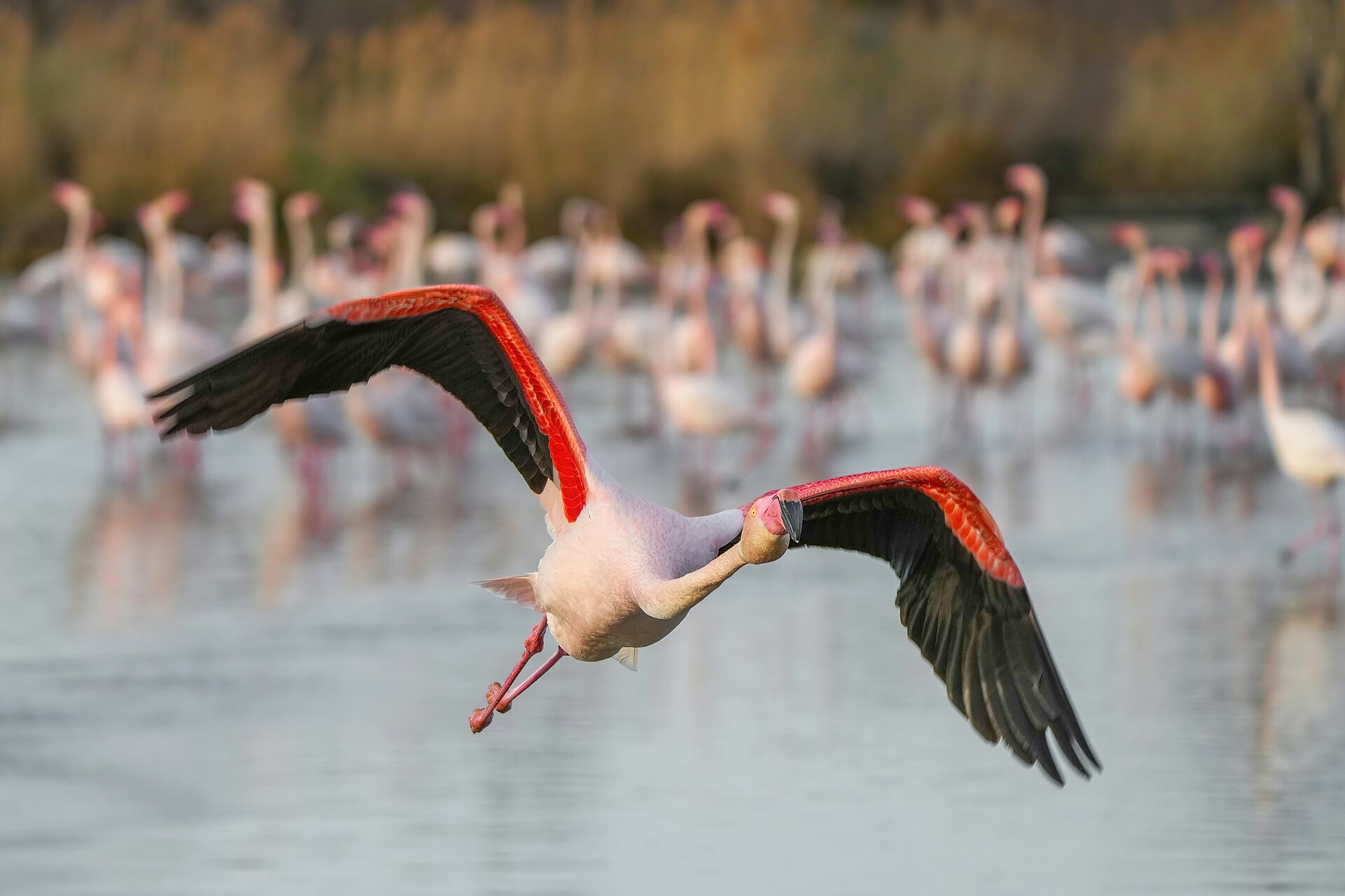 Camargue, Francja: 12 wskazówek na krainę flamingów w 2026 roku 3 Gdzie się zatrzymać w Camargue