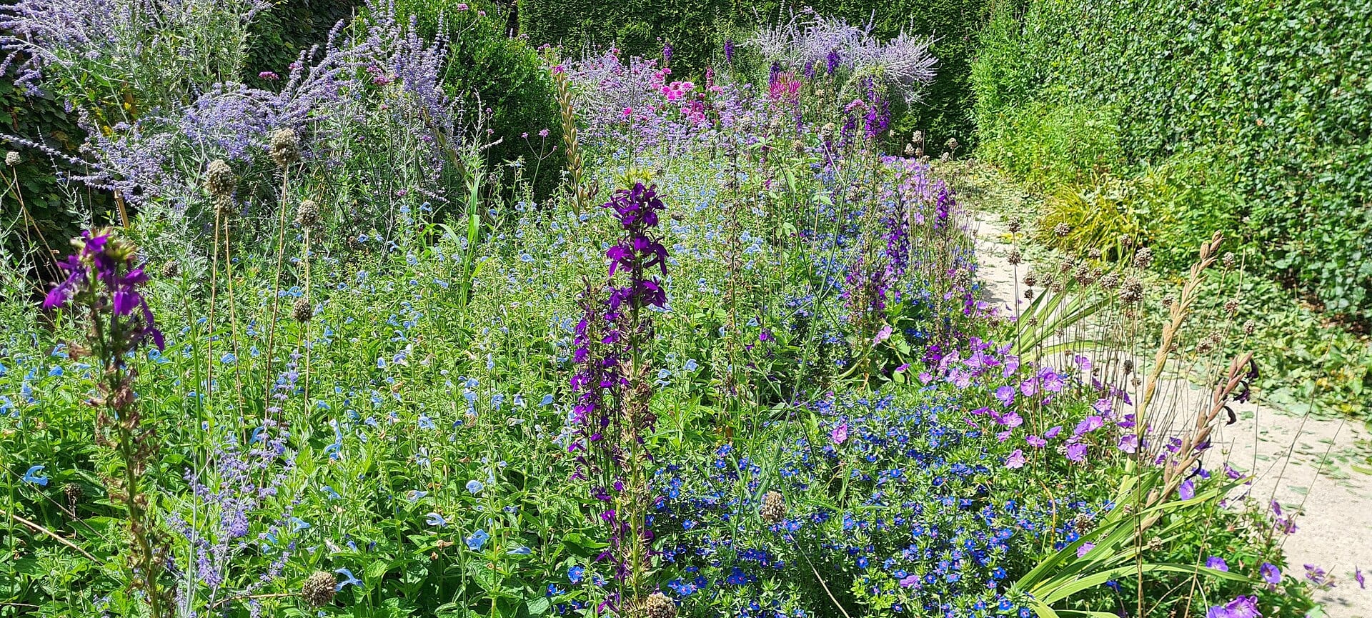 Giverny Ranska: 10 vinkkiä Monet'n puutarhaan 2026 3 Missä majoittua Givernyssä ja sen ympäristössä