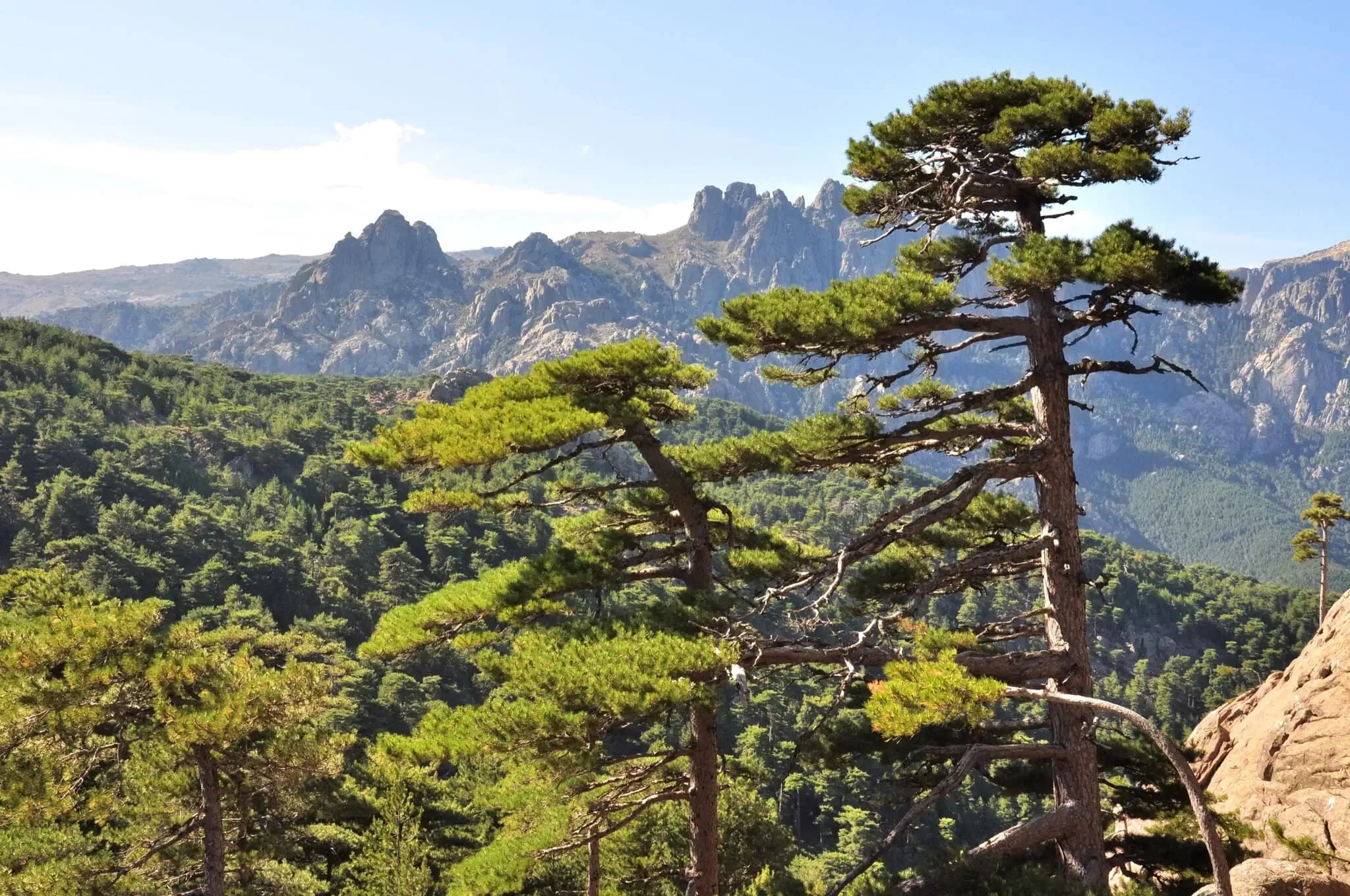 GR20 Corsica Trek: 11 Tips for Europe's Toughest Hike in 2026 1 TL;DR summary for those who don't have time to read the whole article