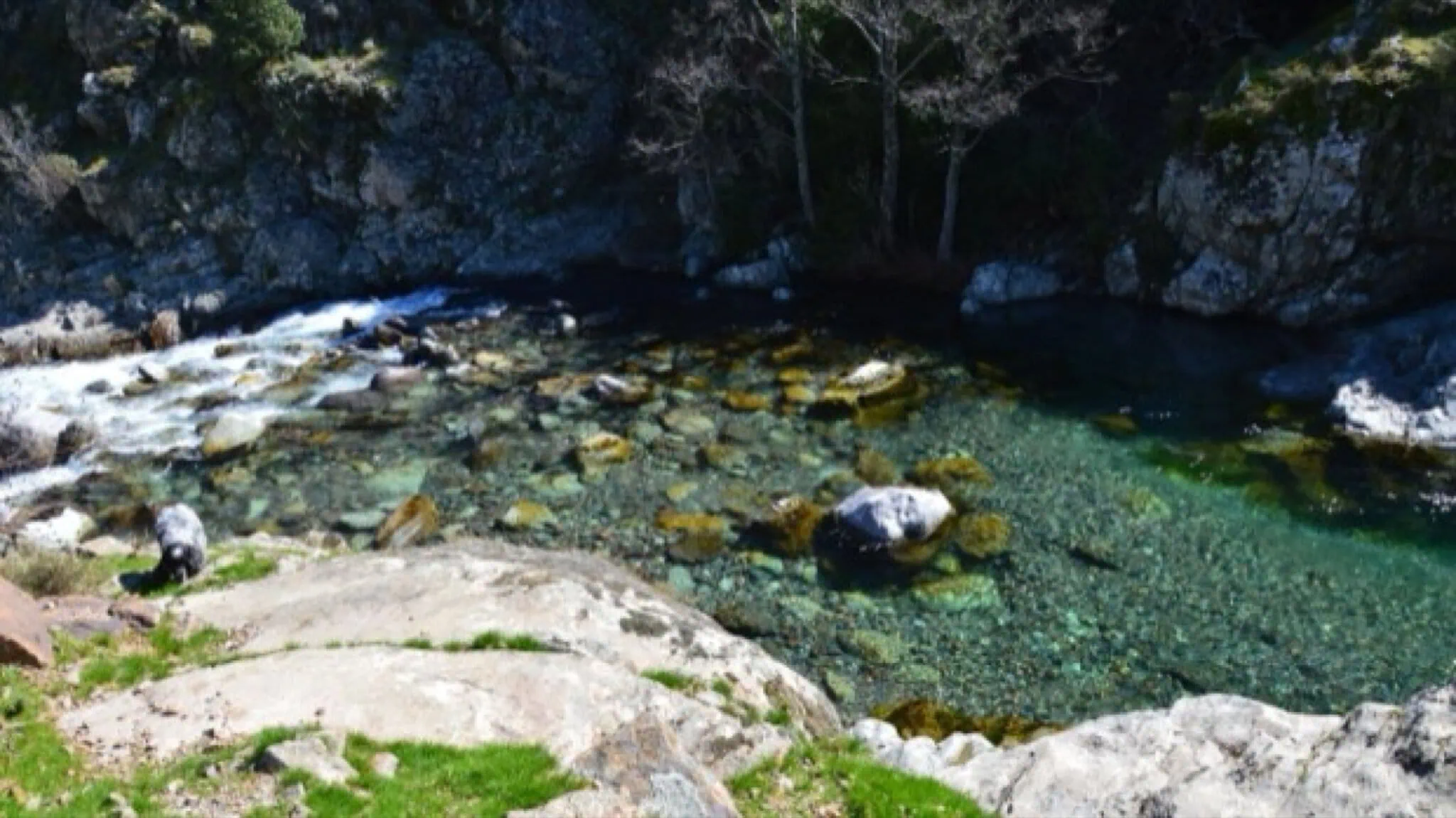 Corte and Inland Corsica: 10 Mountain Tips for 2026 14 Wild swimming in mountain rivers