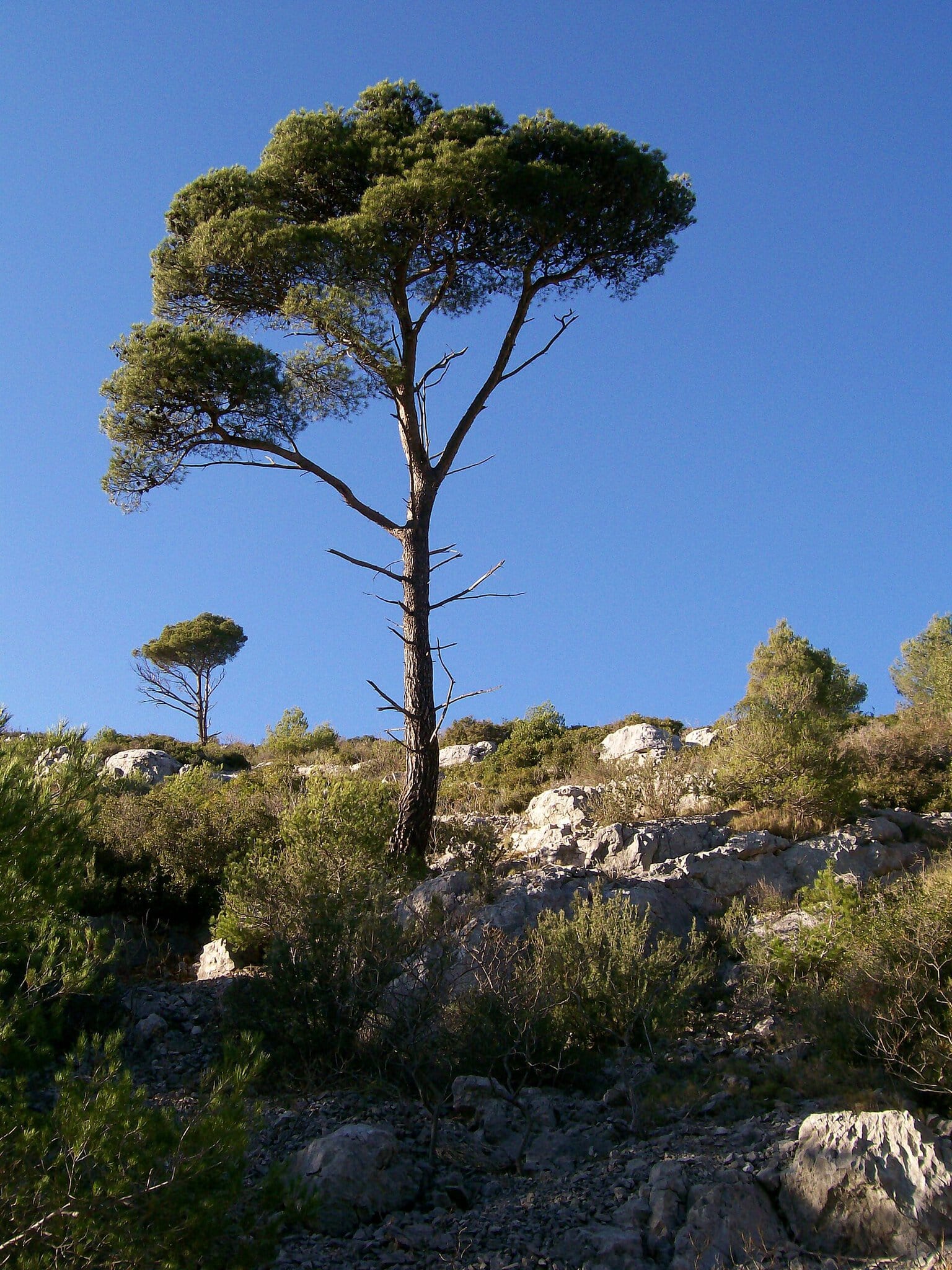 Cassis a Calanques, Francúzsko: 11 tipov v roku 2026 27 Kúpanie a šnorchlovanie v zátokách