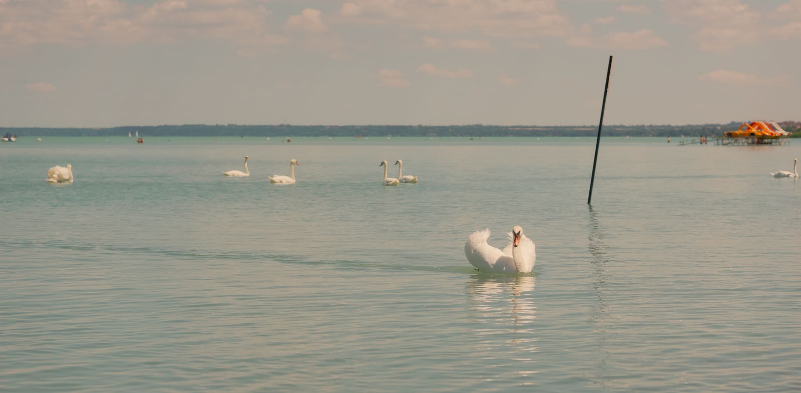 Excursii din Budapesta, Ungaria: 7 cele mai bune idei (2026) 6 Lacul Balaton