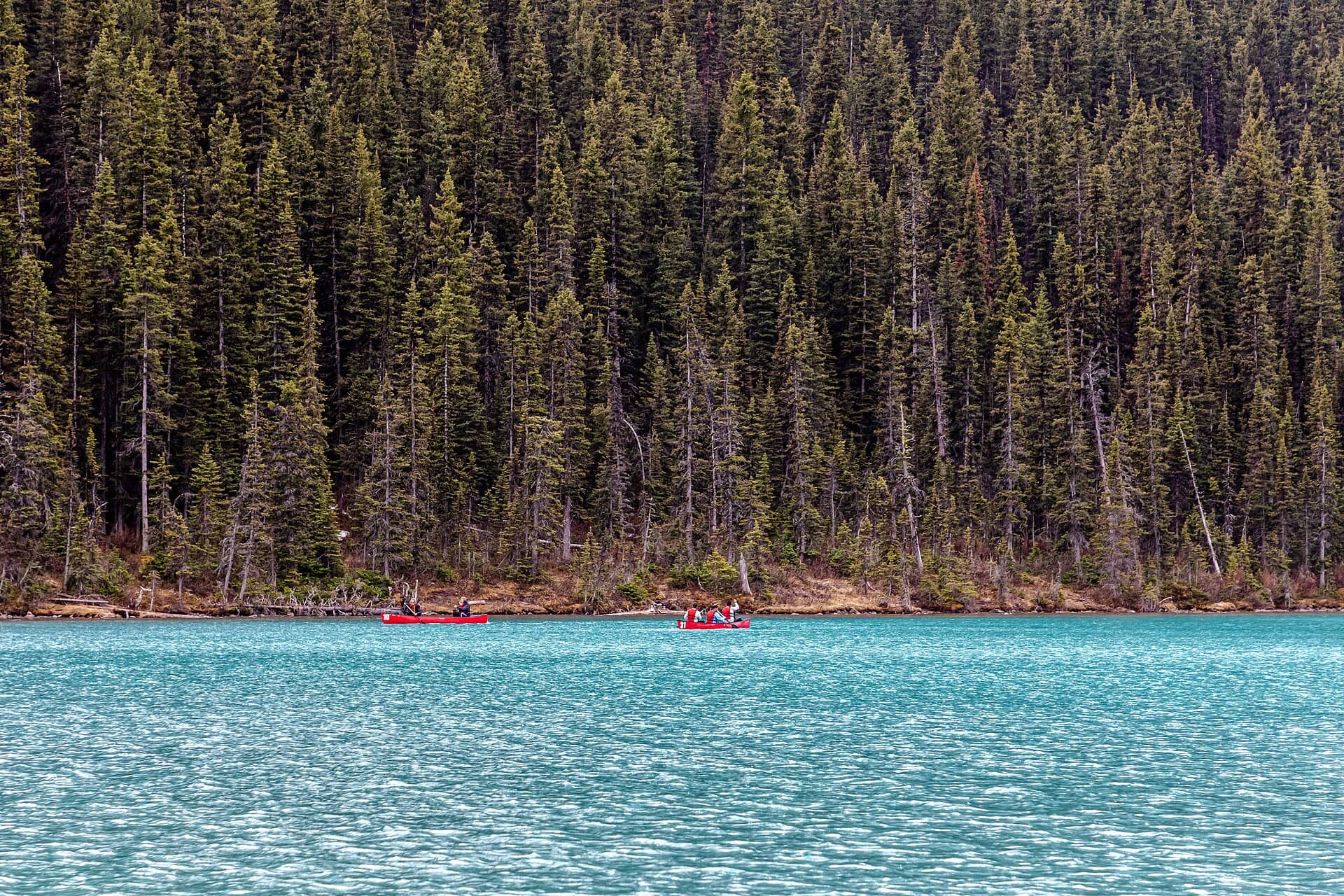Cuánto cuesta un viaje a Alberta y BC en 2026: presupuesto para parejas, familias y mochileros 10 Impuestos y propinas, o por qué las cifras del ticket no cuadran