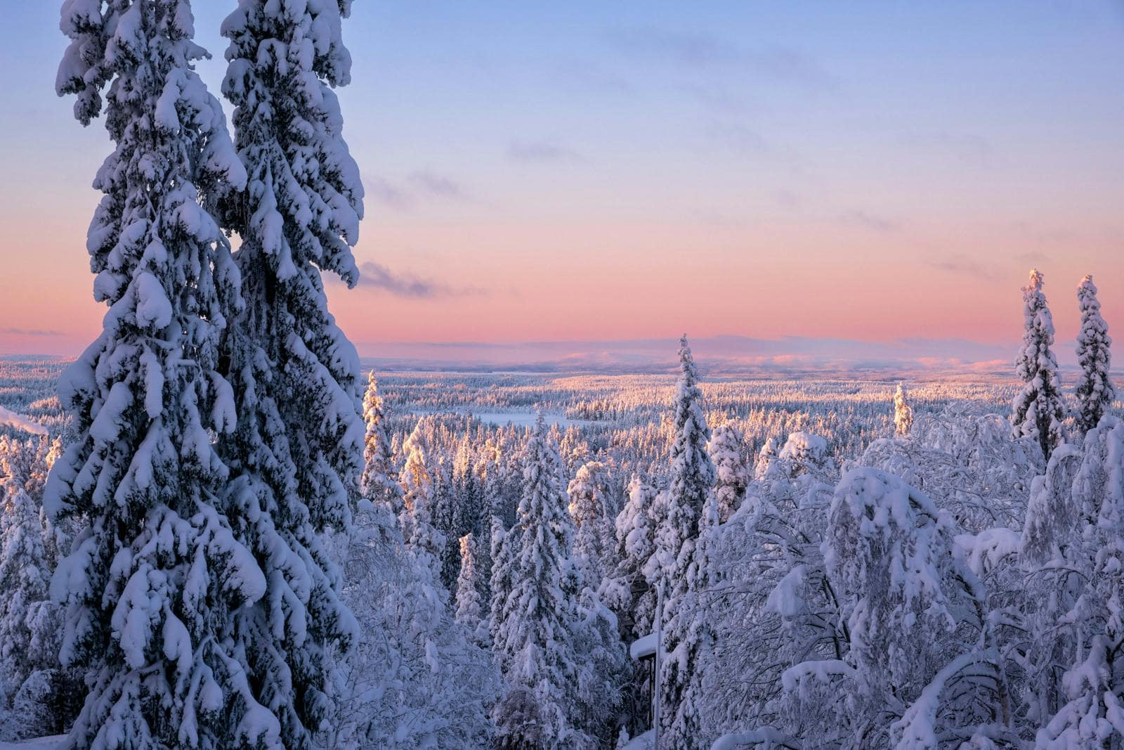 Lappi: 20 vinkkiä, mitä nähdä ja kokea revontulien maassa 2026 2 Luminen metsä Suomen Lapissa talvella