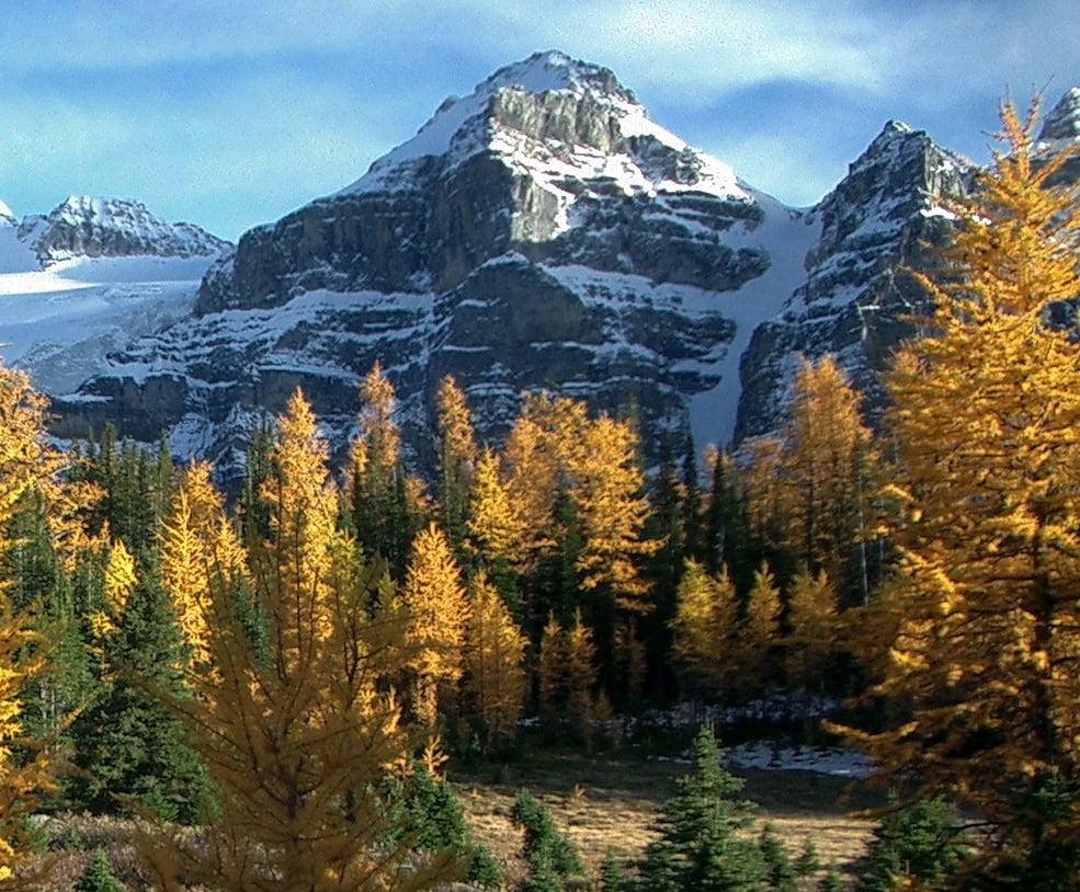 Larch Valley i Sentinel Pass: najlepszy jesienny trekking w Kanadzie 2026 6 9 wskazówek, co zobaczyć i zrobić w Larch Valley i okolicy