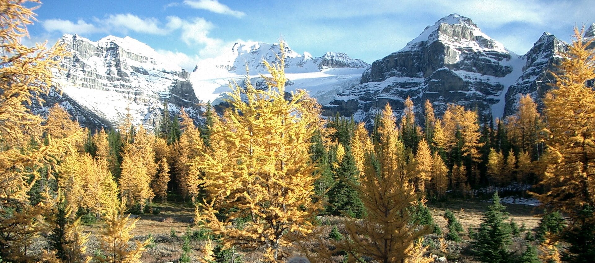 Larch Valley i Sentinel Pass: najlepszy jesienny trekking w Kanadzie 2026 2 Kiedy wybrać się do Larch Valley
