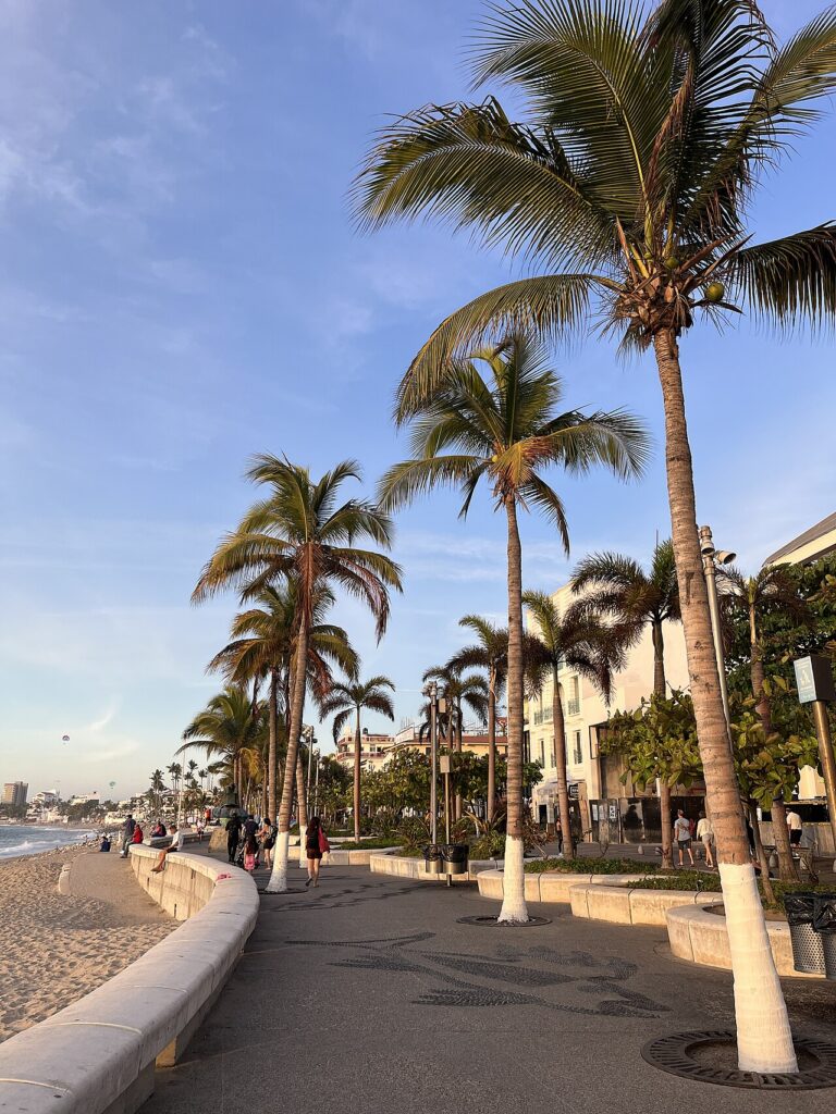 Mexiko 8 Puerto Vallarta, Mexiko: 15 tipů, co vidět a dělat + Sayulita