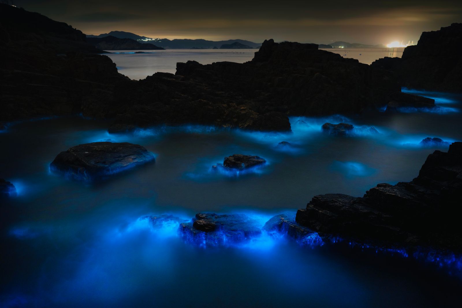 Malediven: vakantie, 21 tips wat te zien en wanneer te gaan in 2026 9 Bioluminescentie op een nachtelijk strand