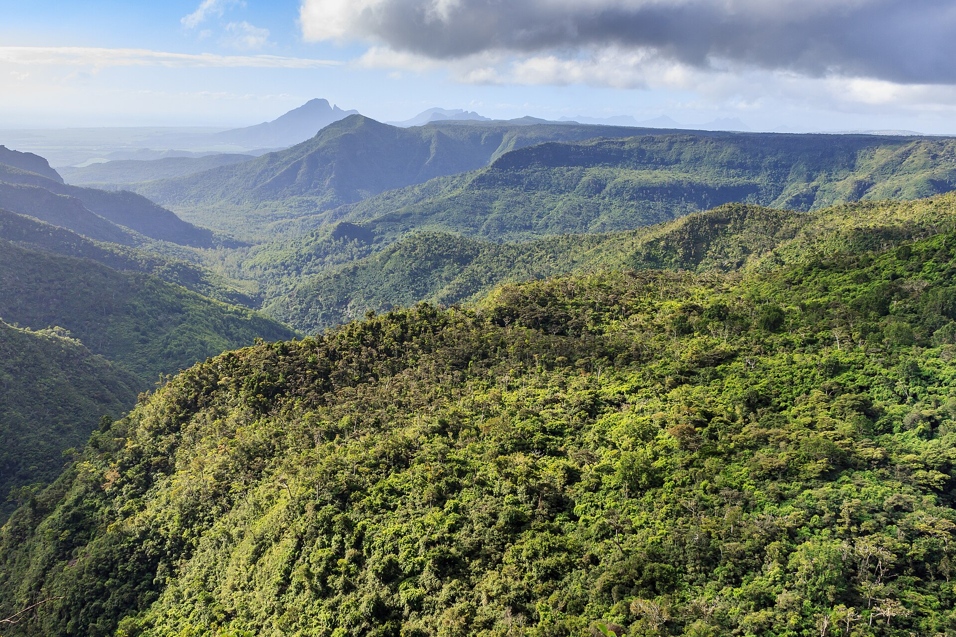 Maurício: viagem, 21 dicas do que ver e quando ir 2026 8 Mirante no parque nacional Black River Gorges