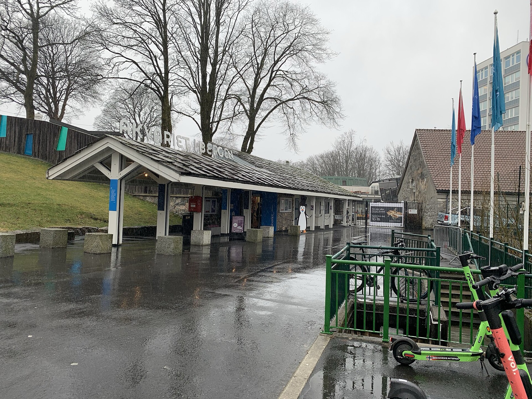 Bergen, Norsko: 14 tipů, co vidět v bráně k norským fjordům 13 Akvárium Akvariet
