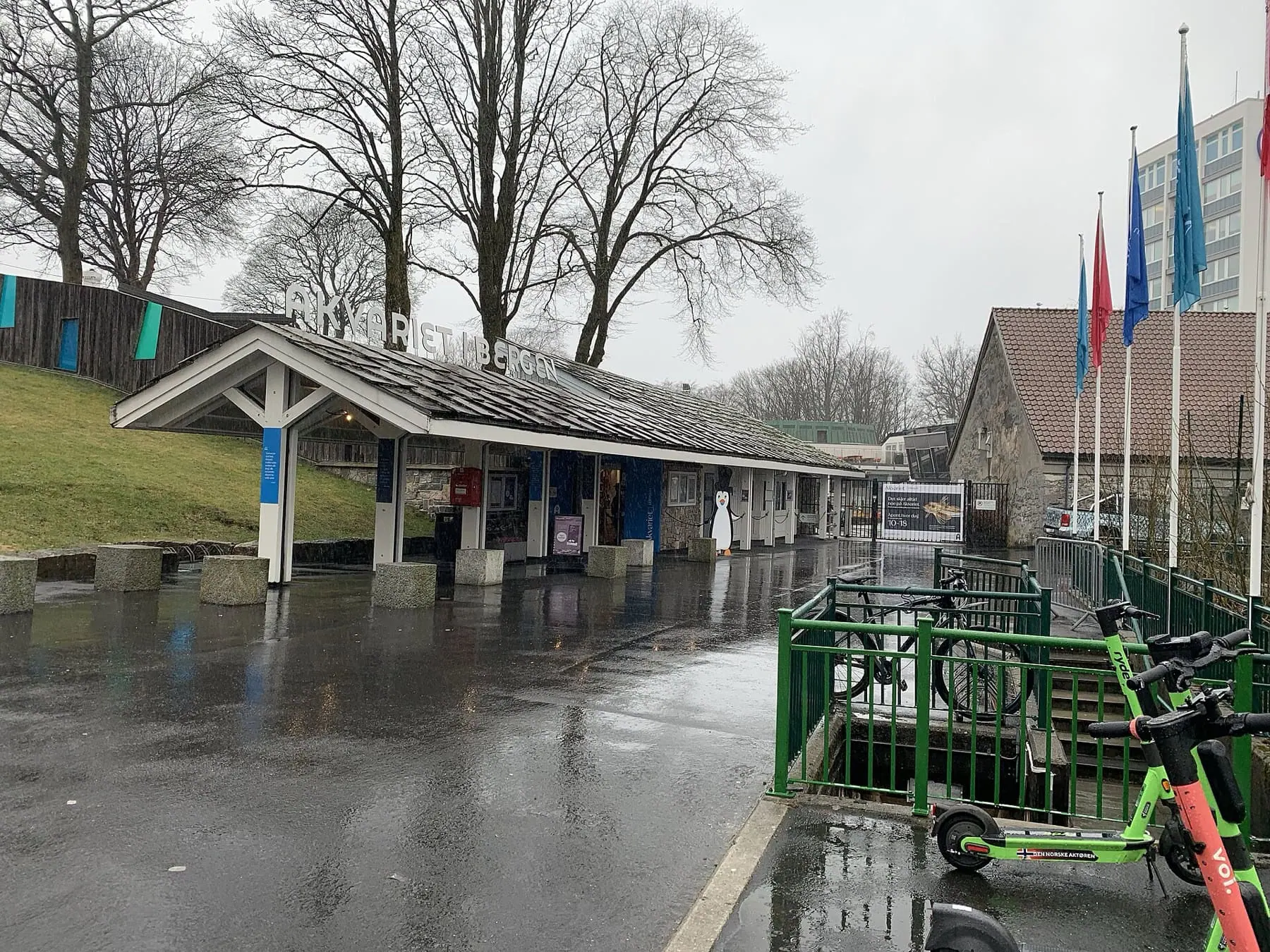 Bergen, Norvégia: 14 tipp, mit nézz meg a fjordok kapujában 14 Az Akvariet akvárium