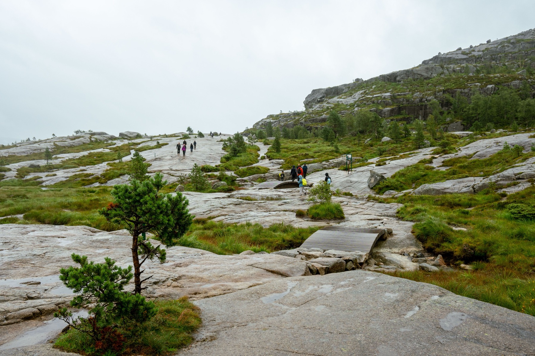 Preikestolen en Norvège : la randonnée vers le Pulpit Rock pas à pas en 2026 6 Le sentier vers le Pulpit Rock